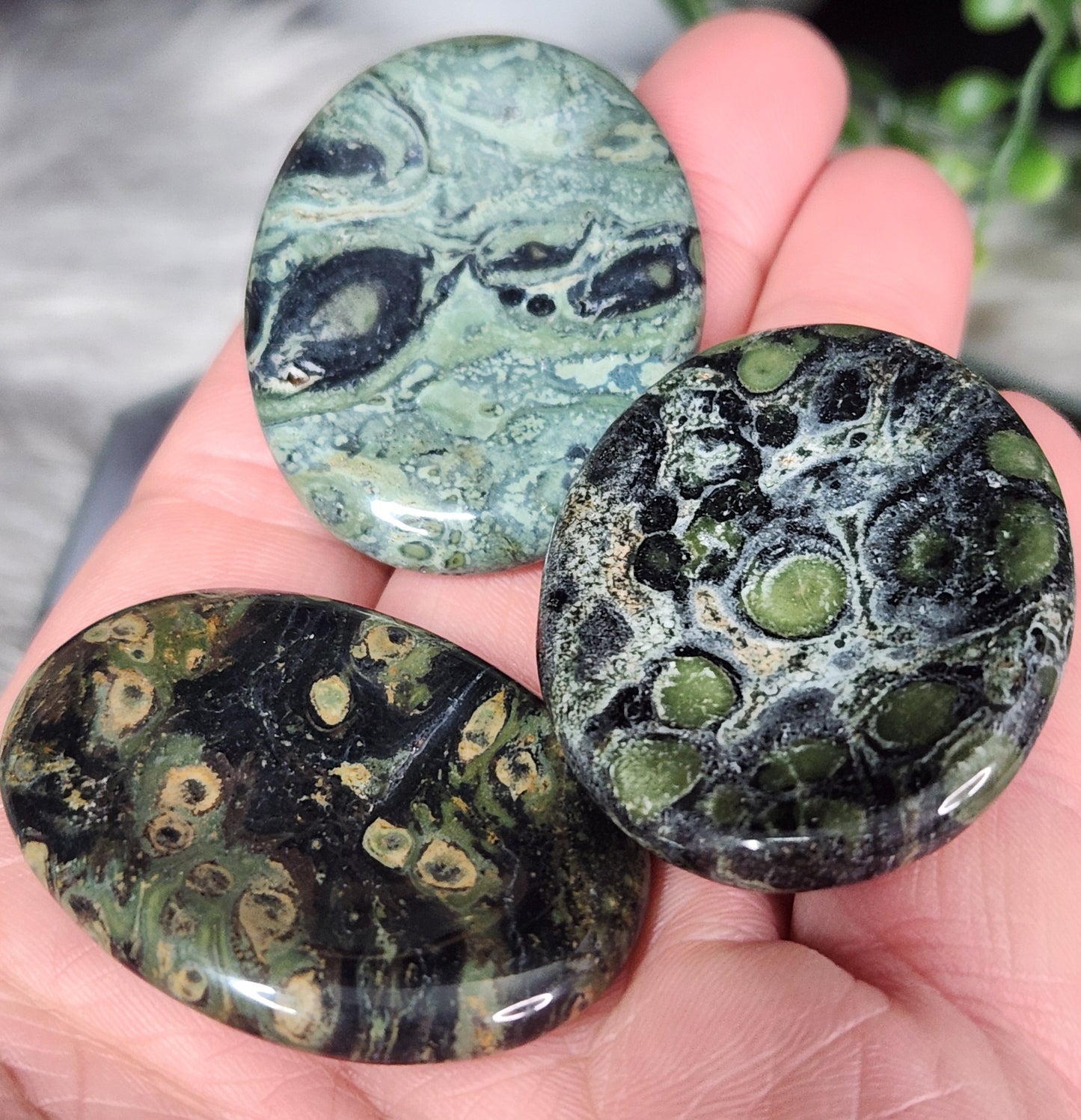 Kambaba Jasper | Worry Stone