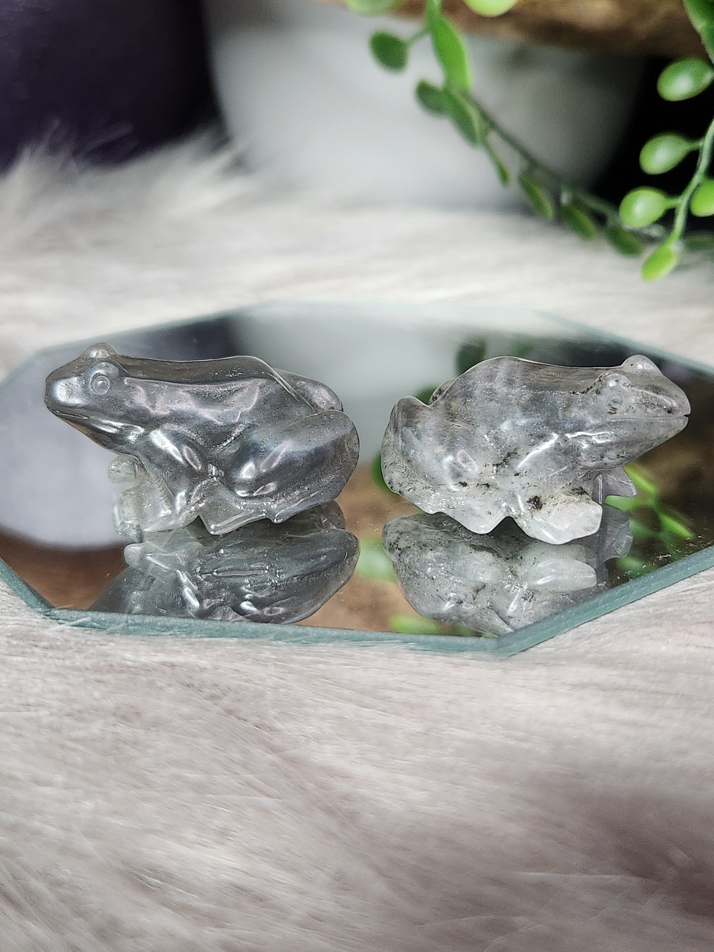 Labradorite | Mini Frogs
