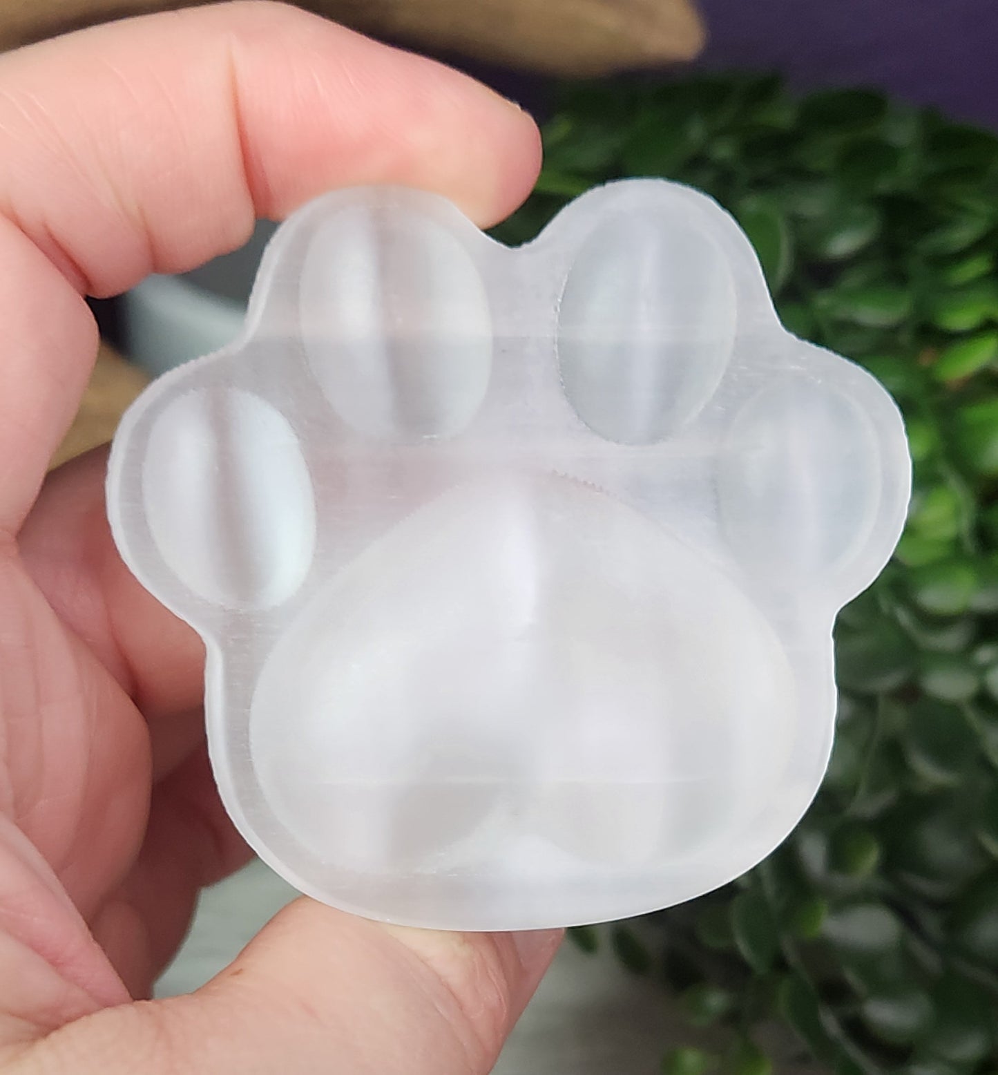 Selenite | Pet Paws