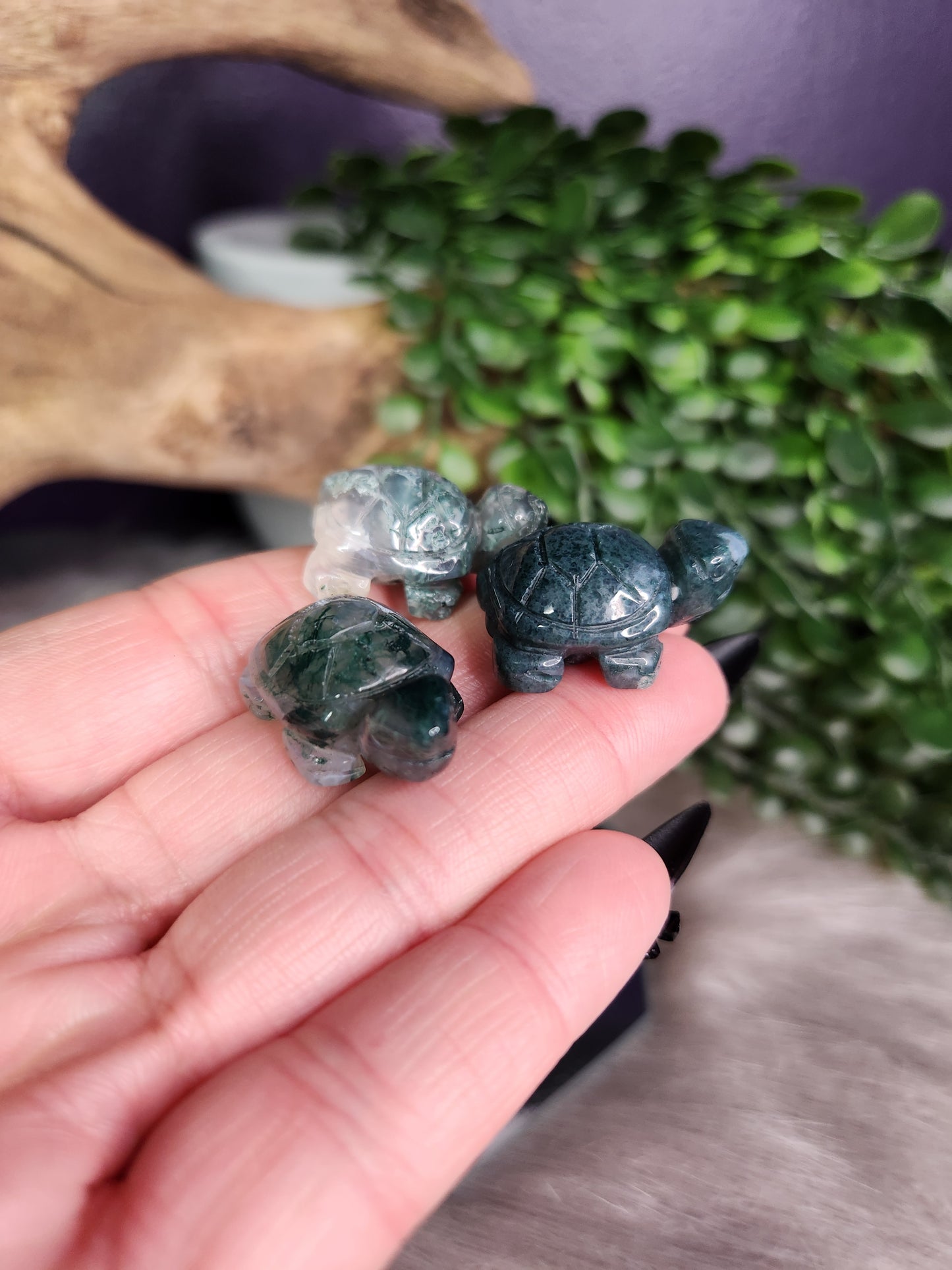 Moss Agate | Mini Turtles