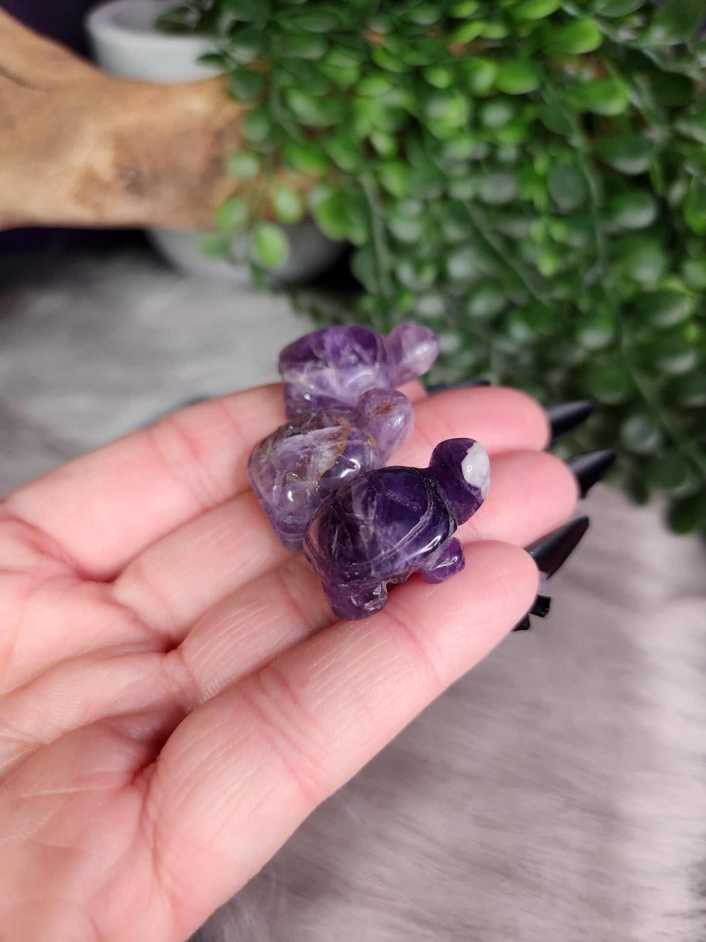 Chevron Amethyst | Mini Turtles