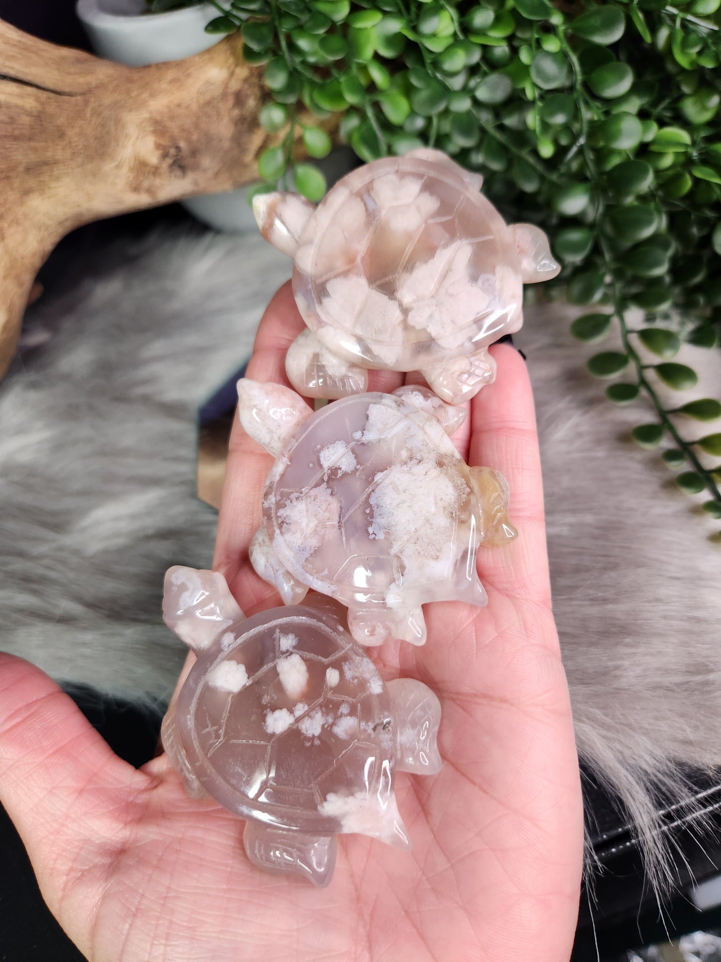 Flower Agate | Sea Turtles