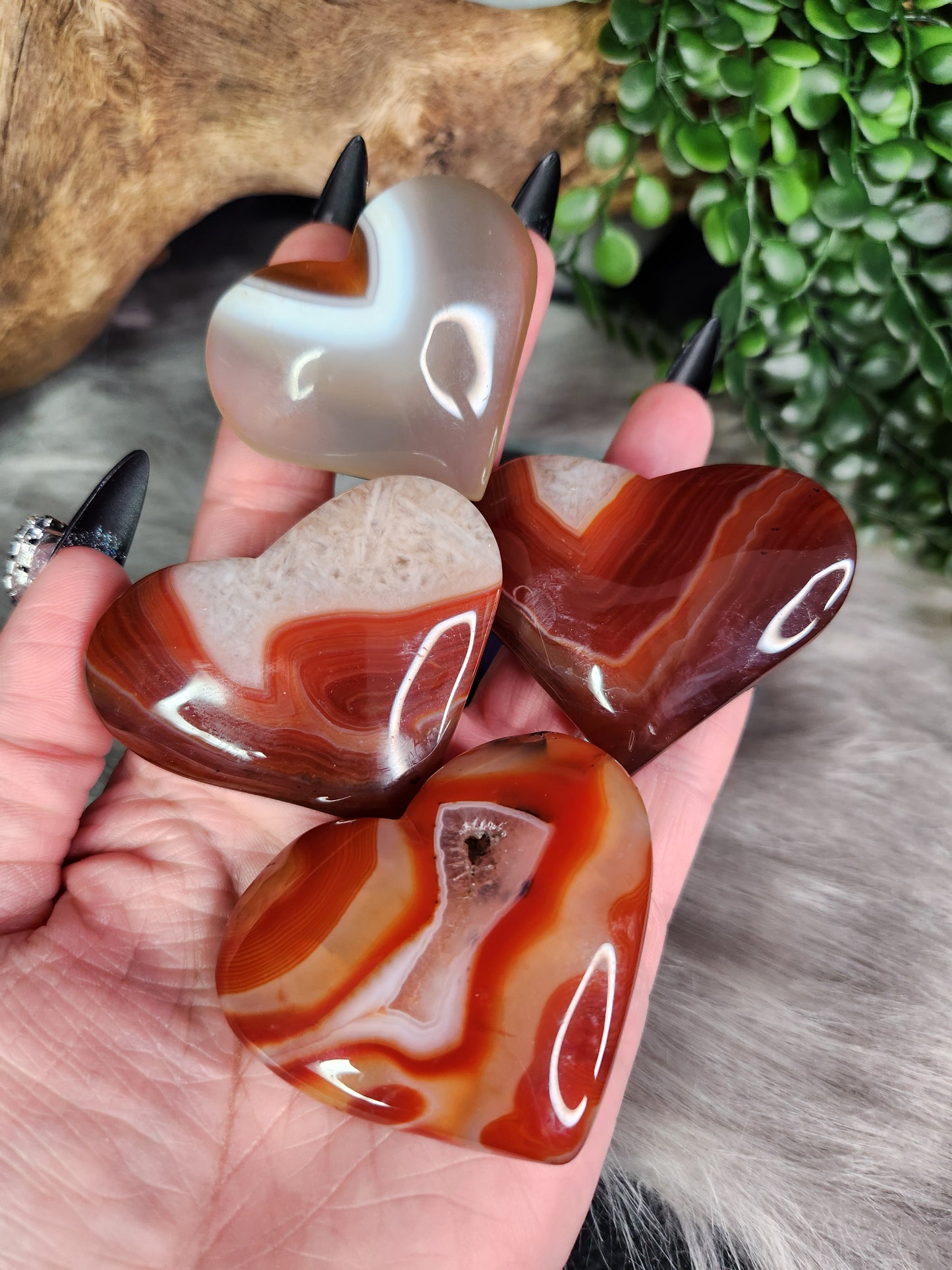 Carnelian with Quartz | Hearts