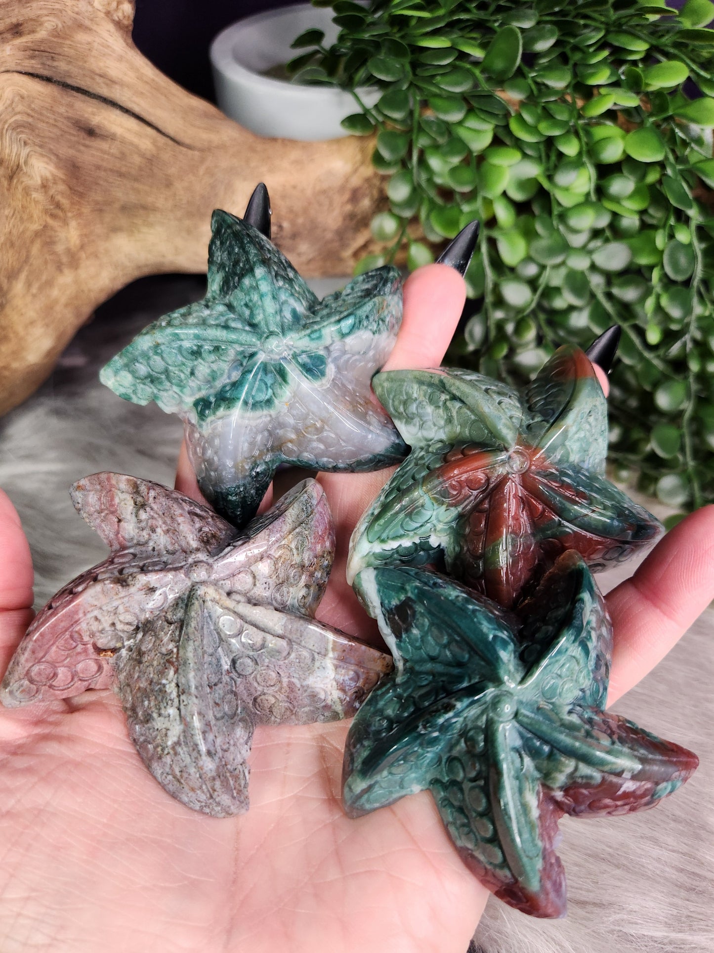 Ocean Jasper | Starfish