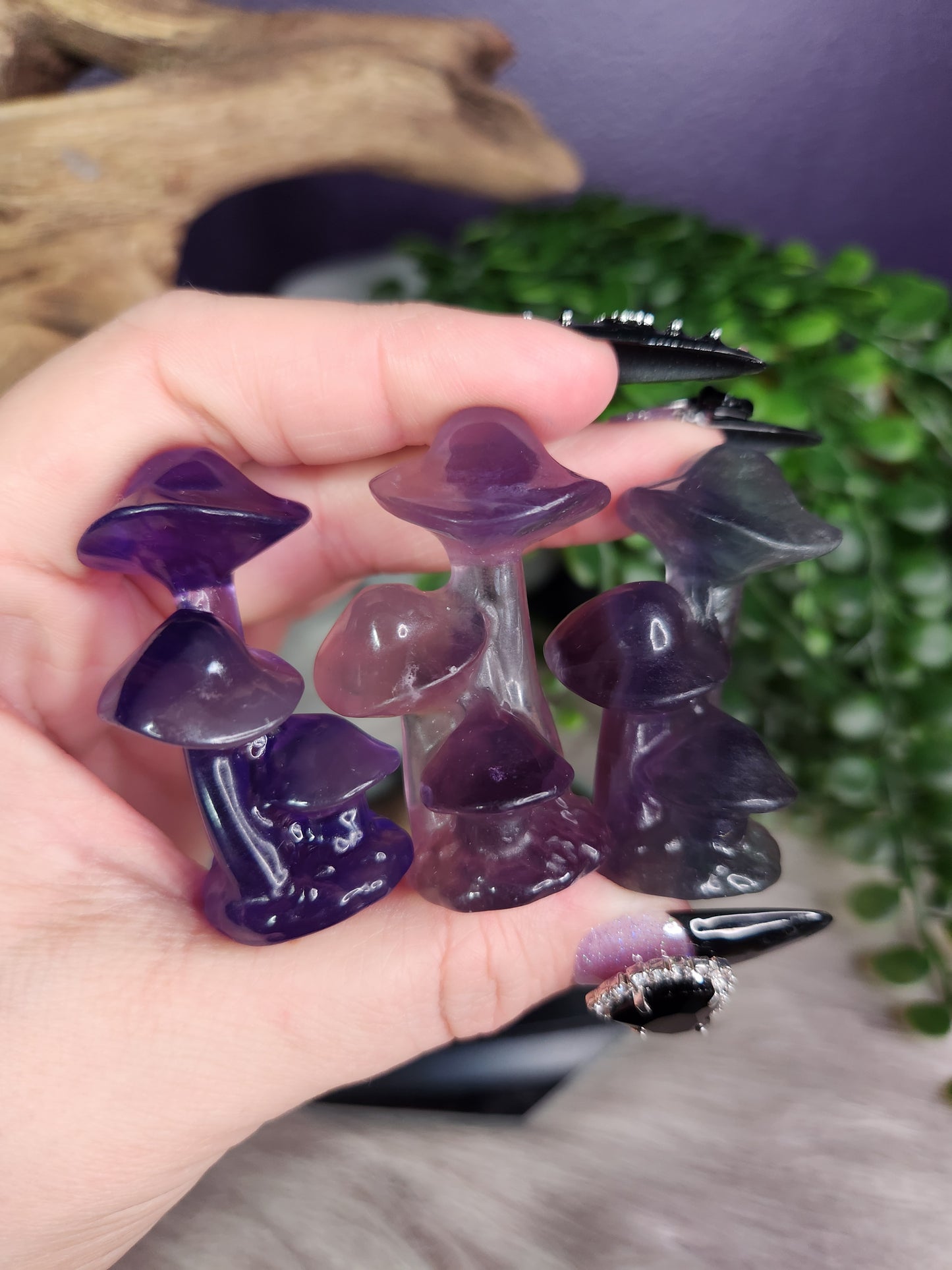 Fluorite | Mushroom Huddles