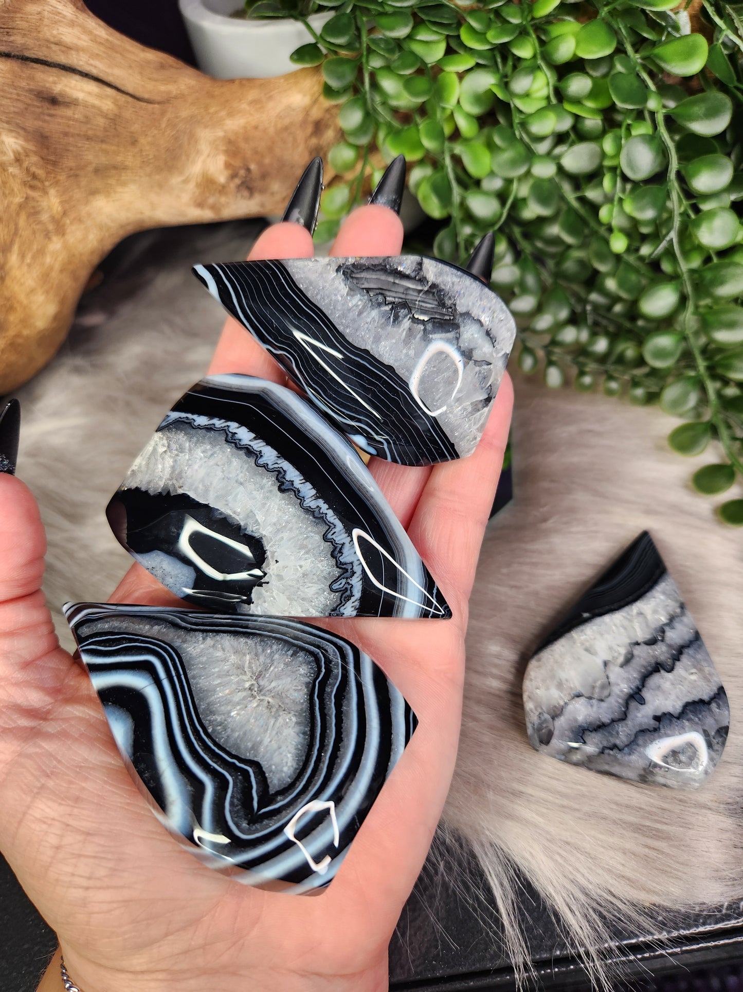 Black Agate | Raindrops