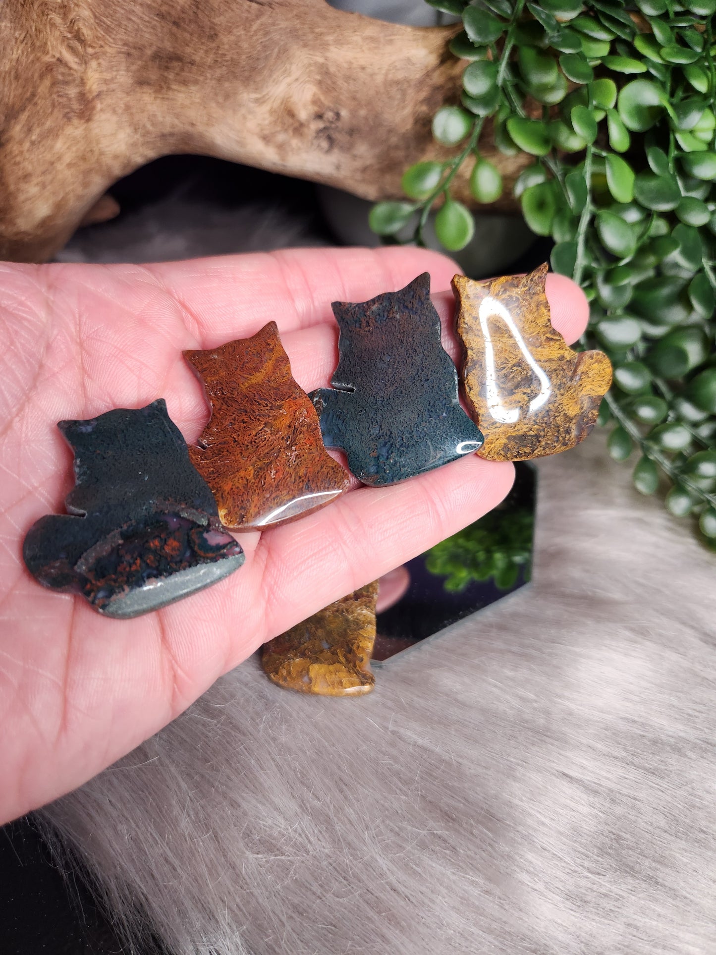 "Sphagnum" Moss Agate | Kitties