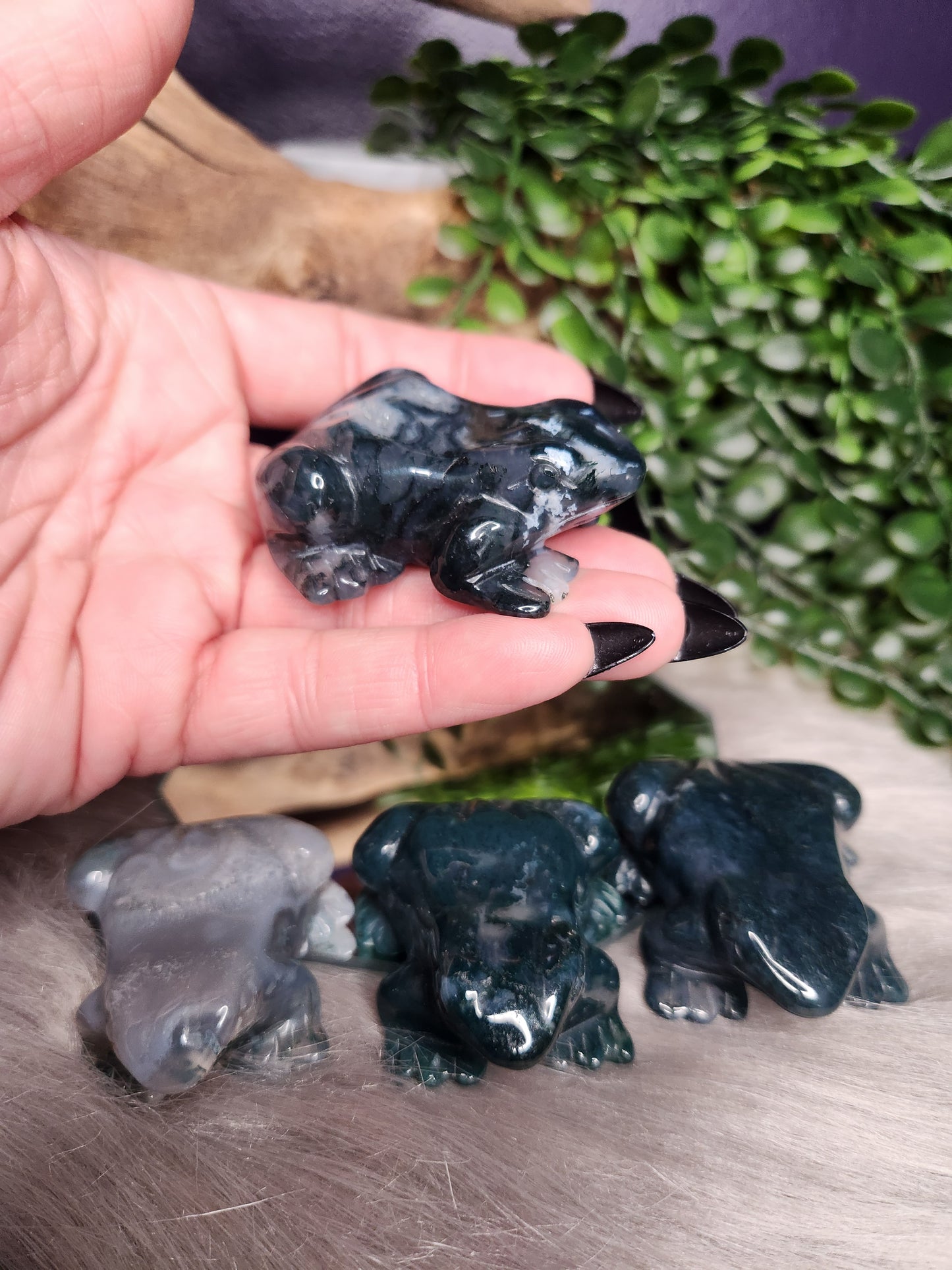 Moss Agate | Froggies