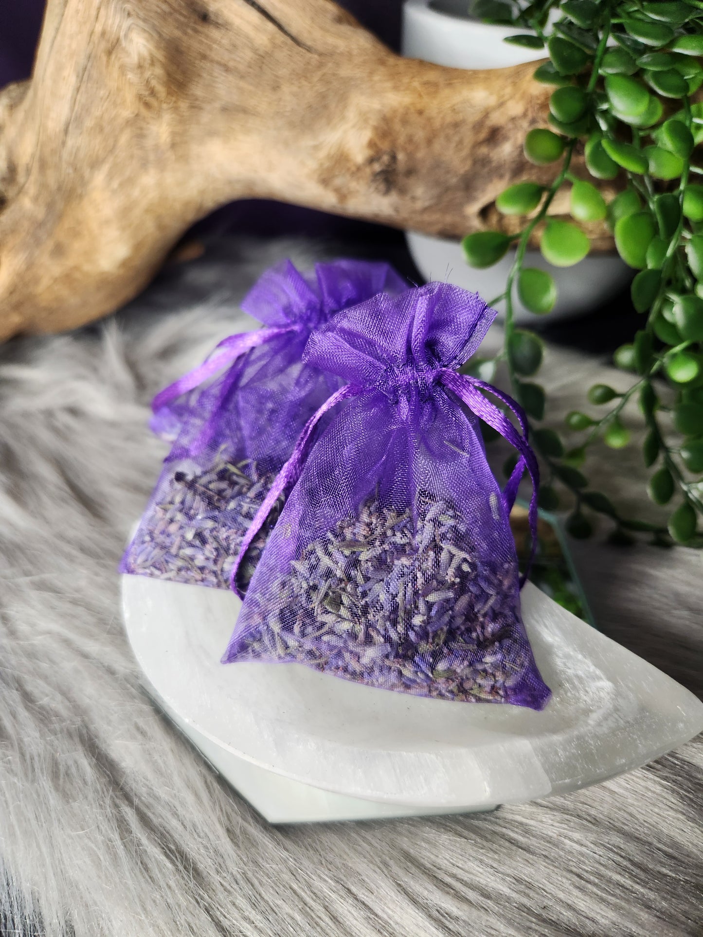 Small Homegrown Lavender Sachets | My Yard