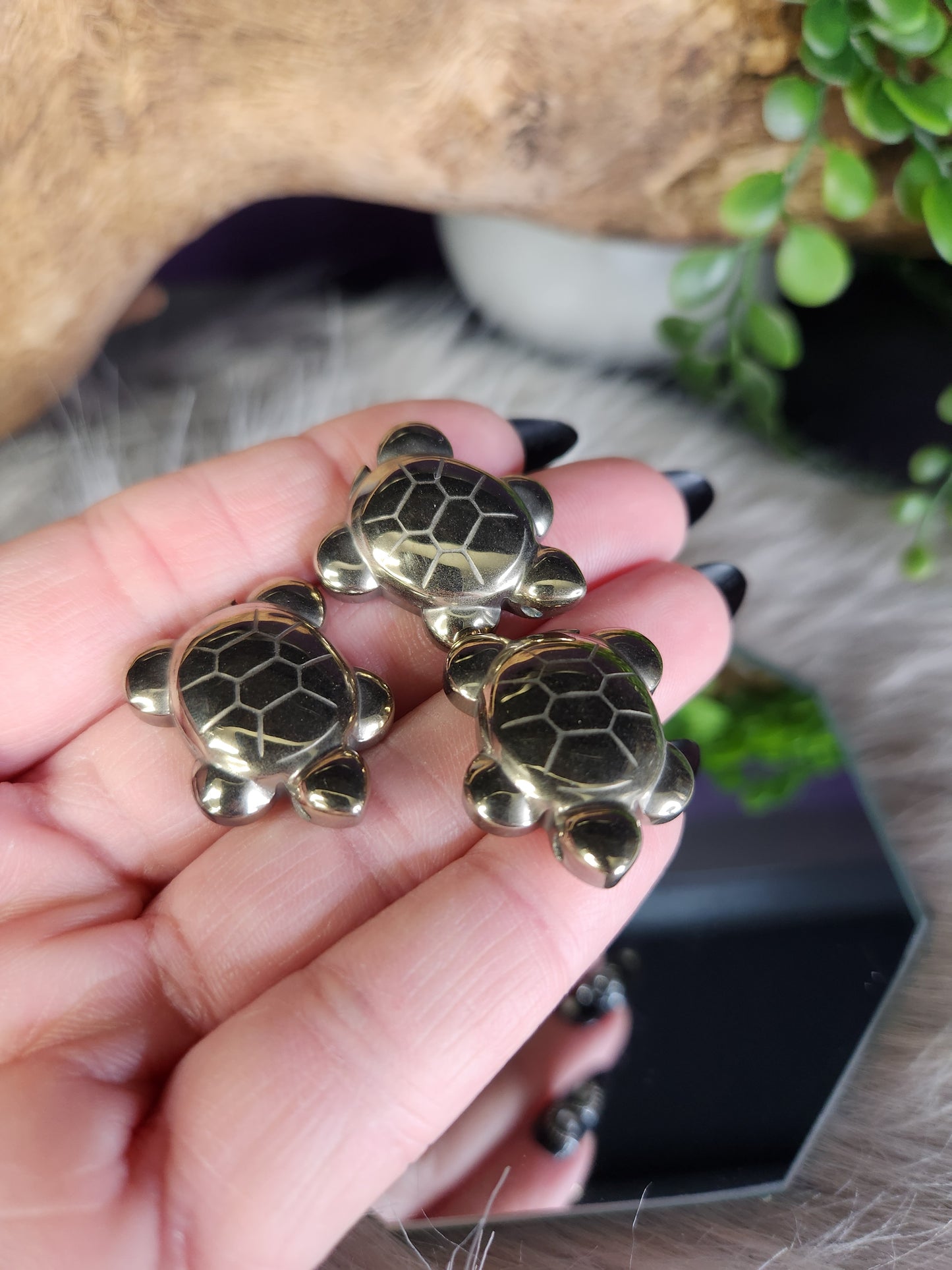 Pyrite | Mini Turtles
