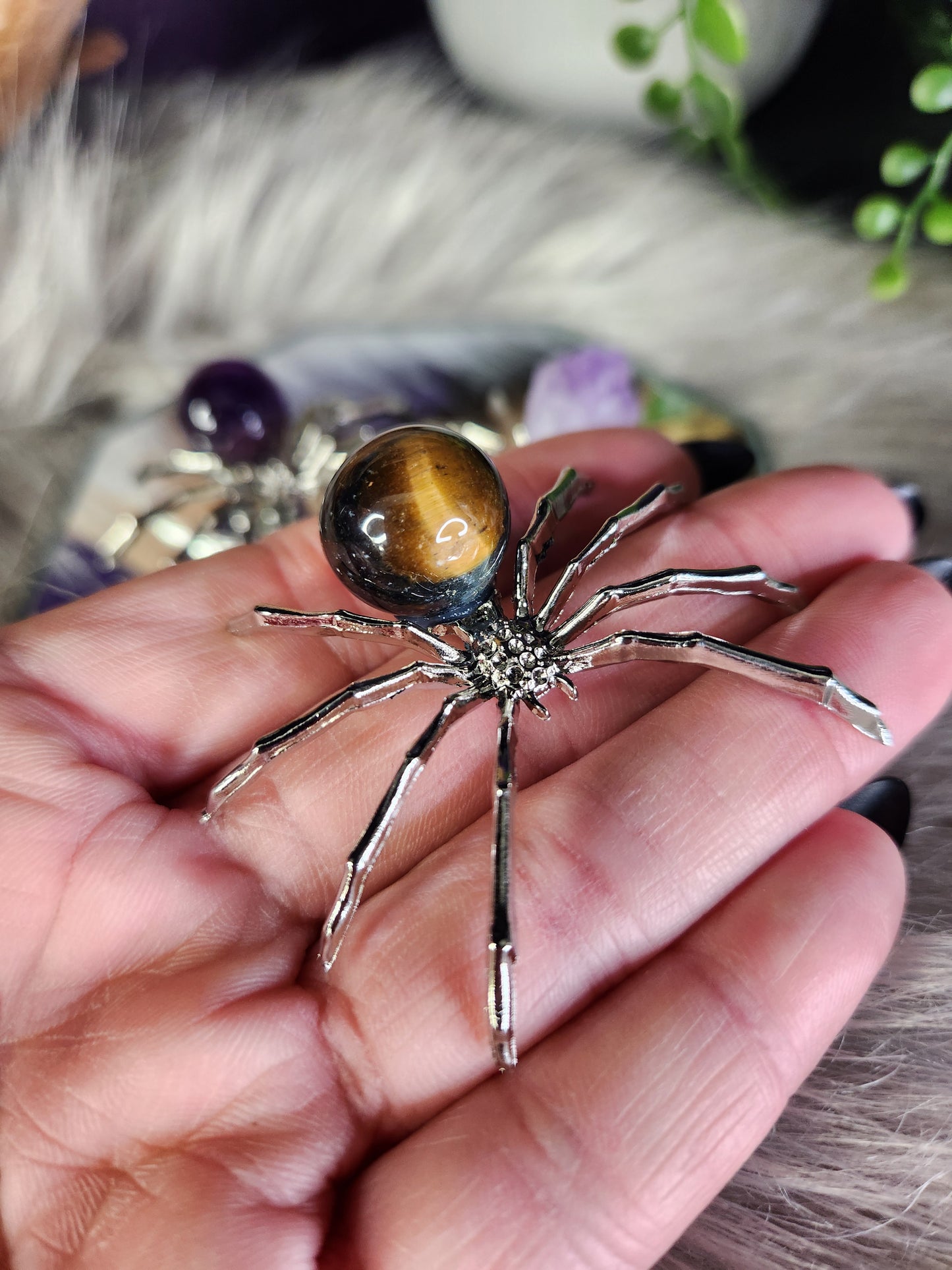Silver Rock Spiders