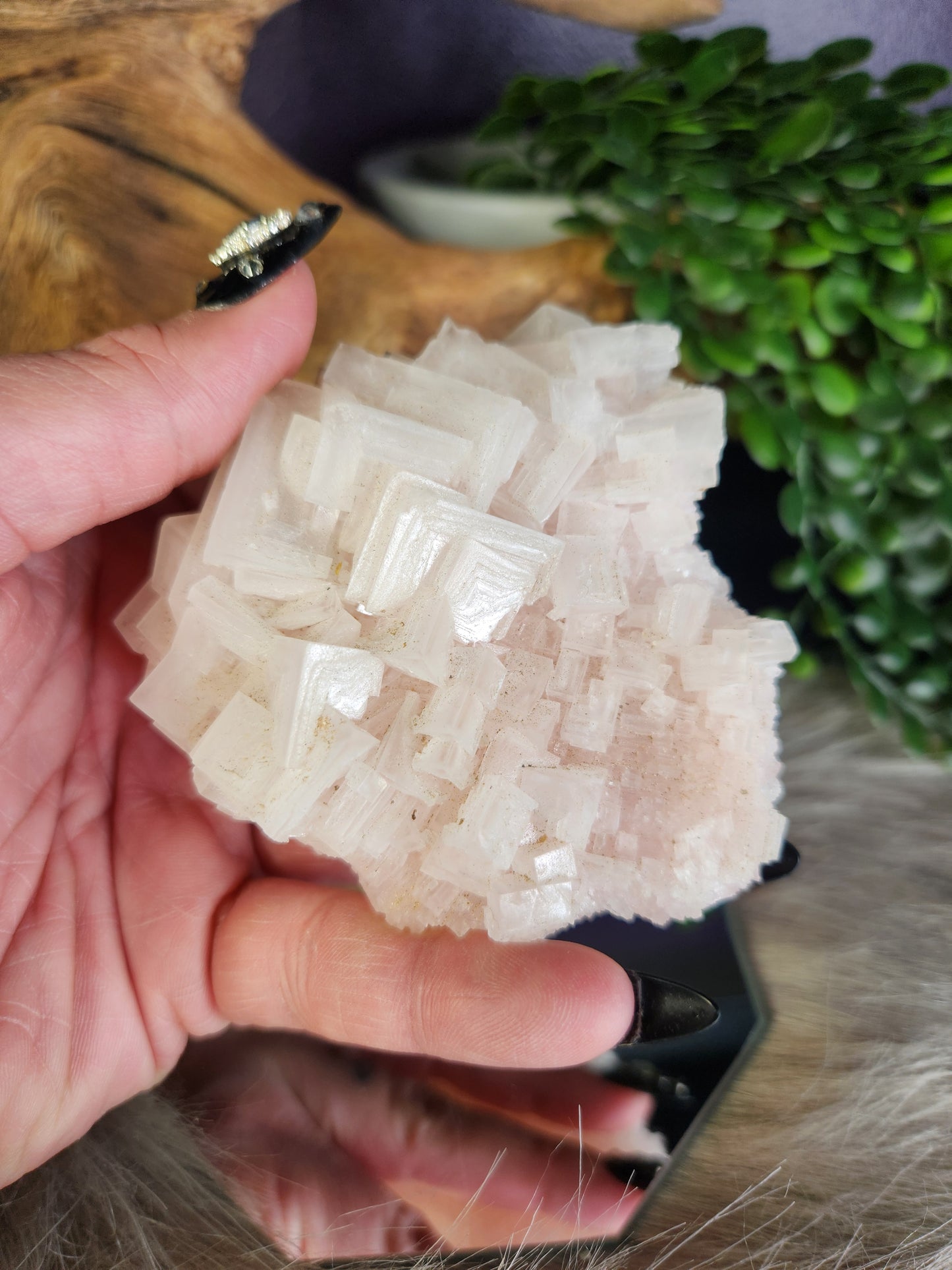 Pink Halite | California