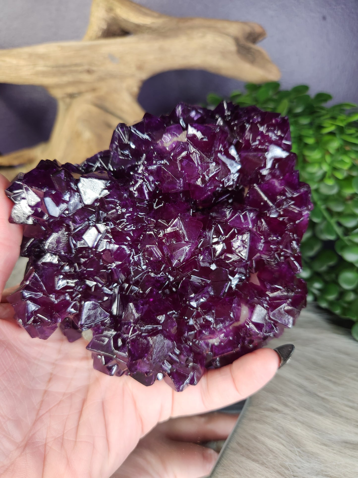 Purple Alum on Stilbite | JUICY Specimens (Lab Grown)