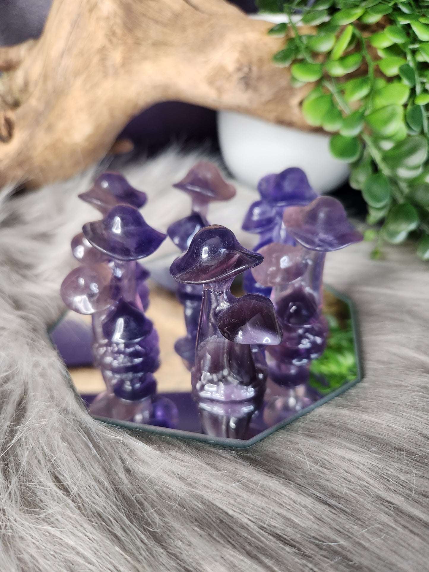 Fluorite | Mushroom Huddles (Repaired)