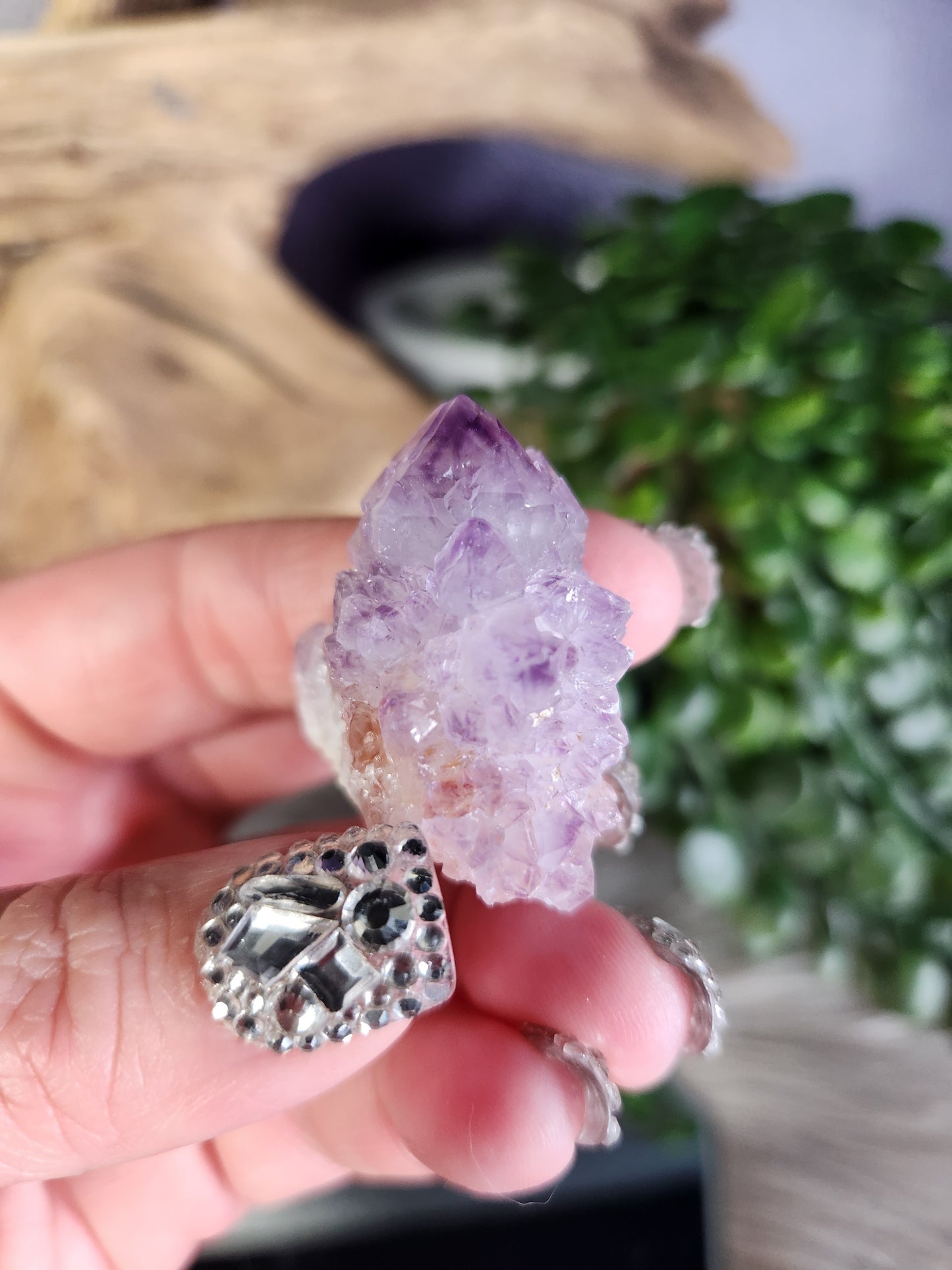 Cactus "Spirit" Quartz | Mpumalanga, South Africa