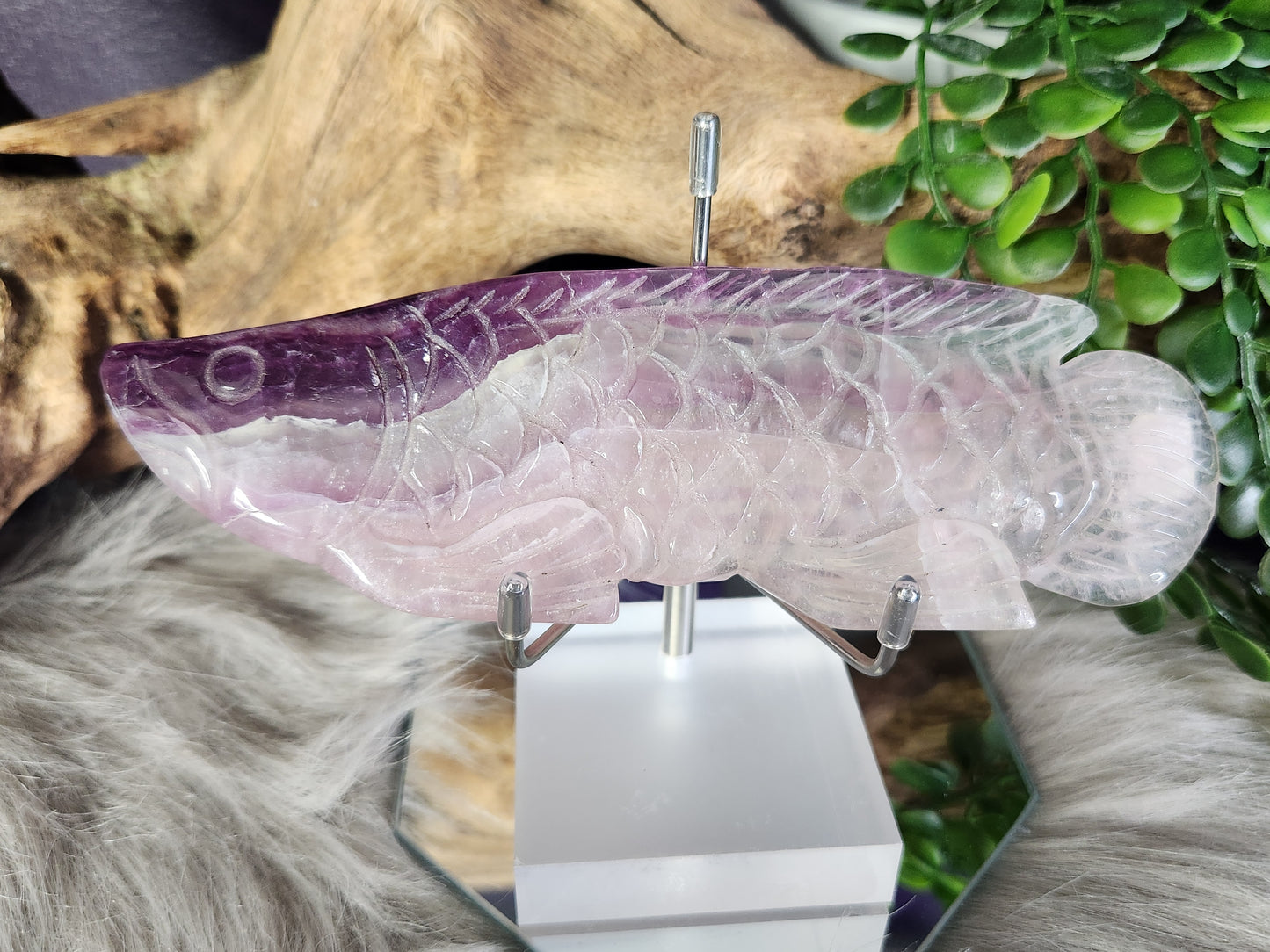 Purple Fluorite | Arowana w/Stand