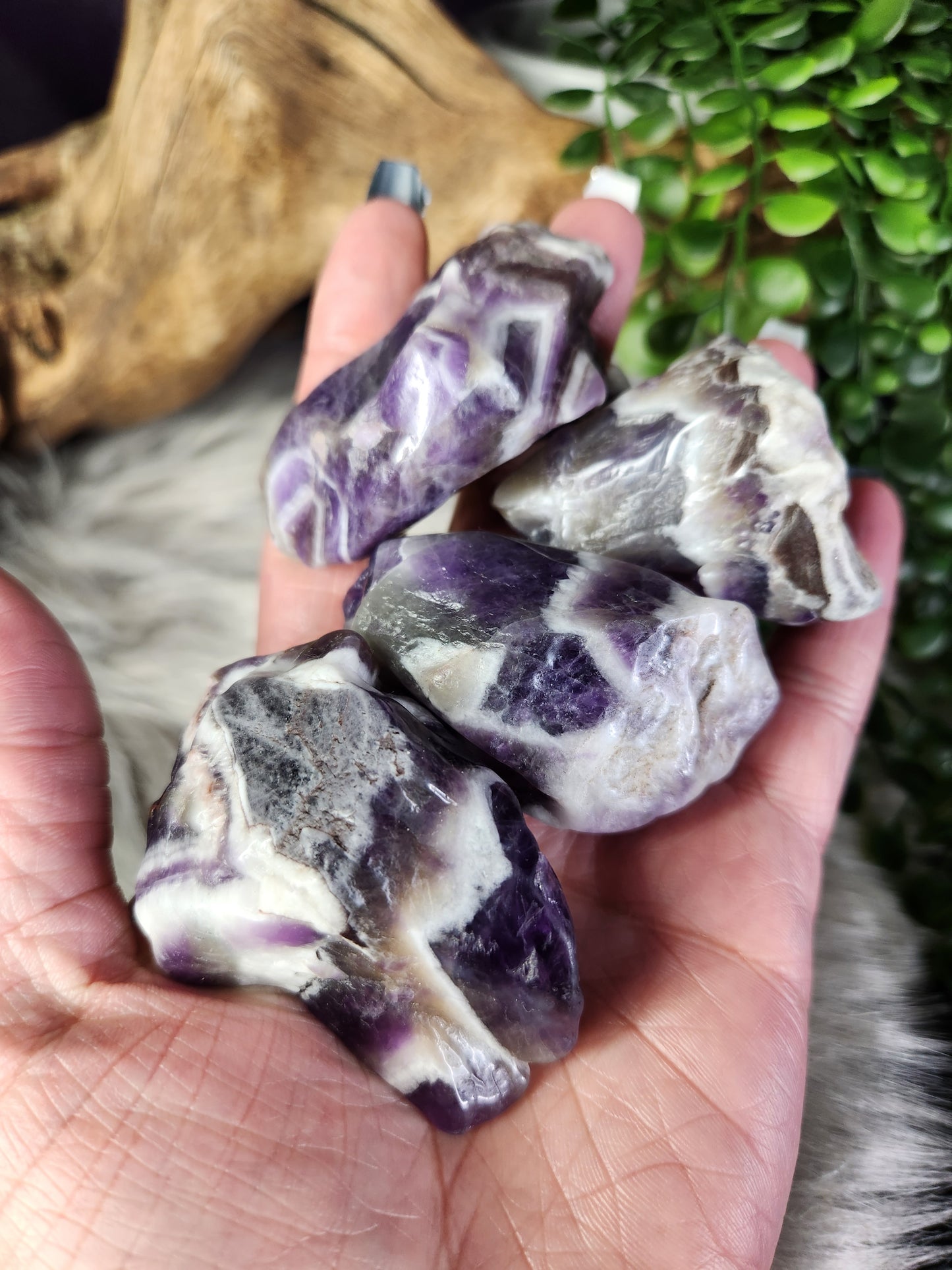 Chevron Amethyst | Large Raw Chunks