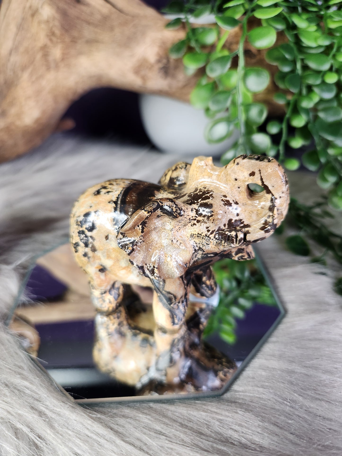 Picture Jasper | Elephants