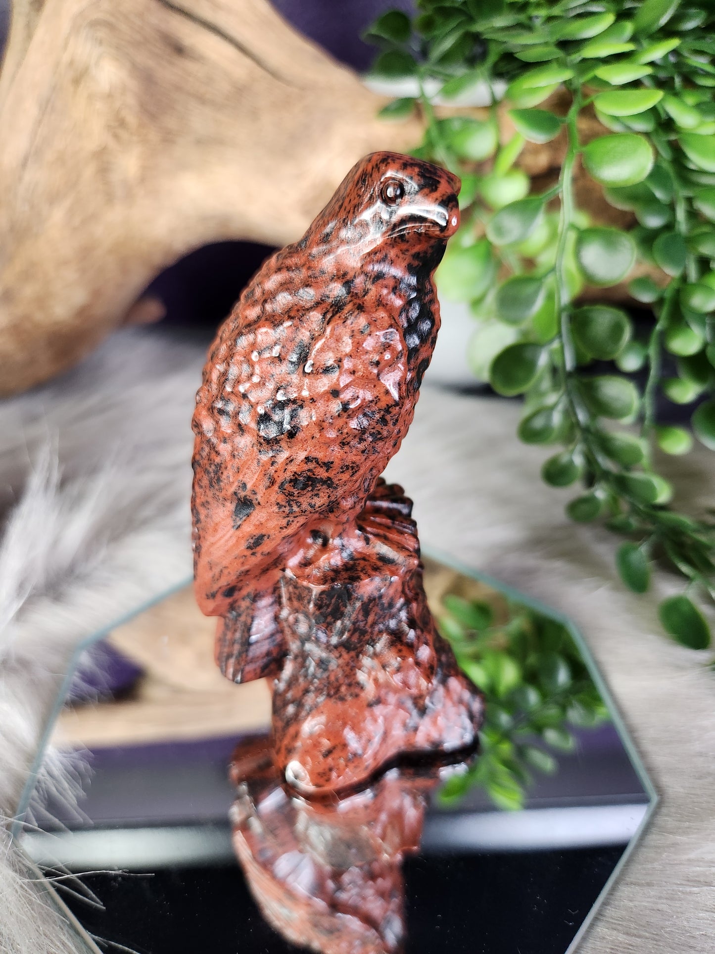 Mahogany Obsidian | Falcon