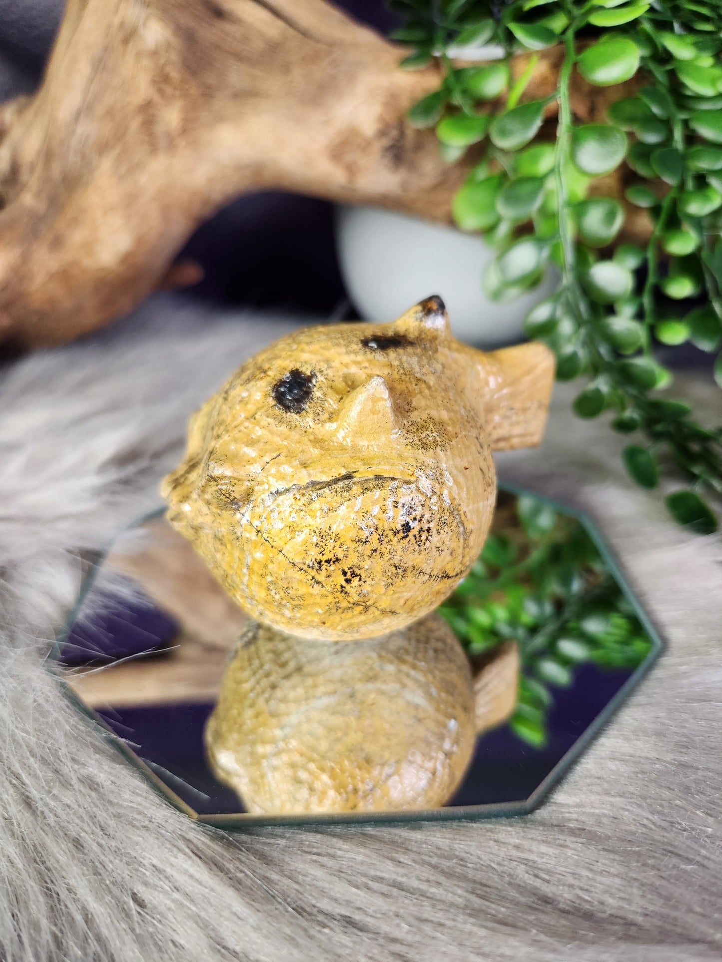 Picture Jasper | Puffer Fish