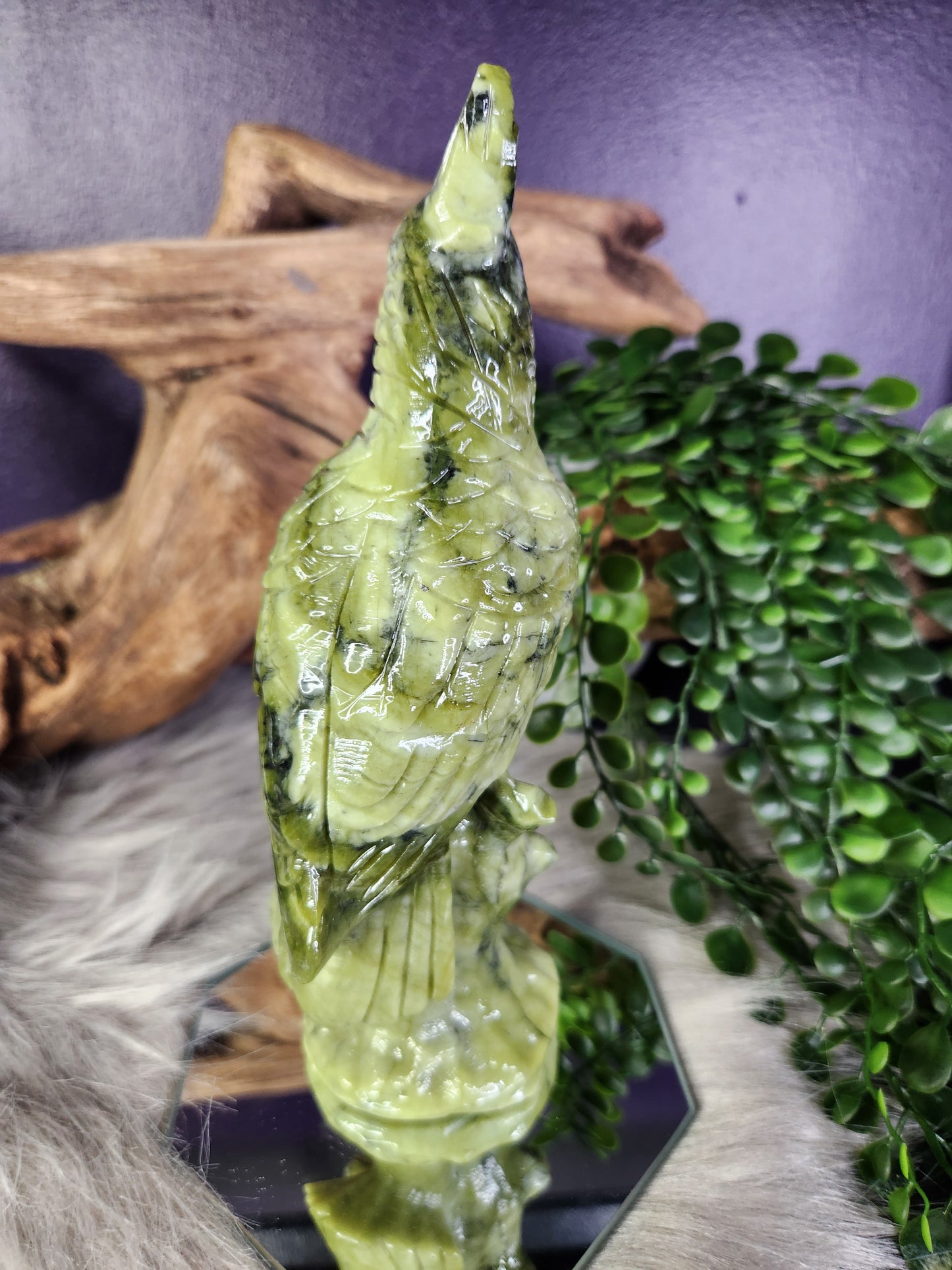 Green Jade | Cockatiel