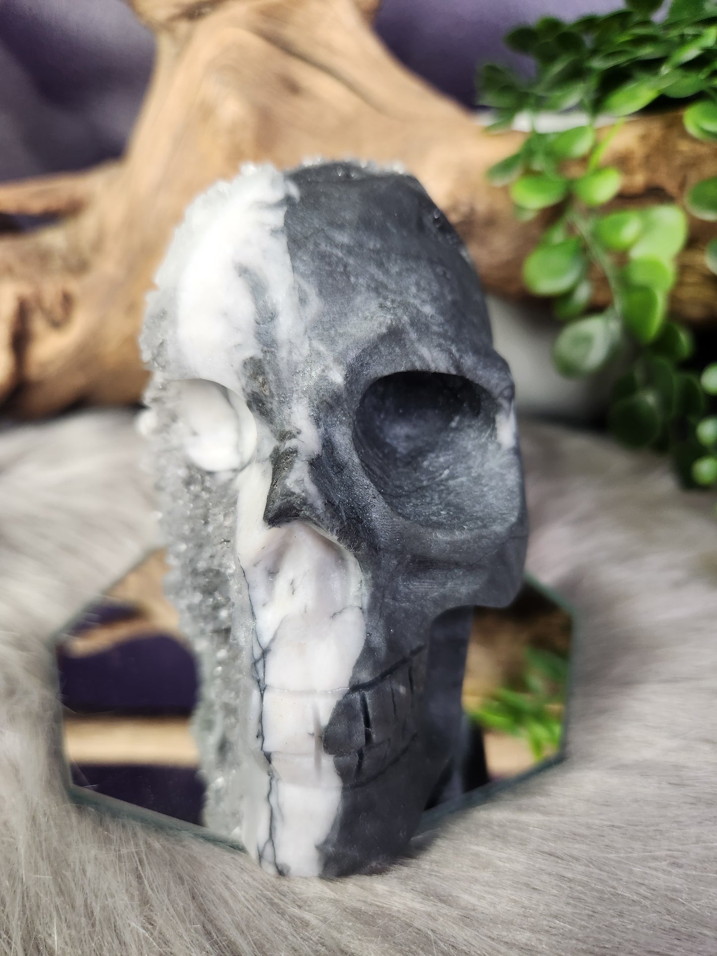 *Unique* Black & White Quartz Calcite Specimen Skull