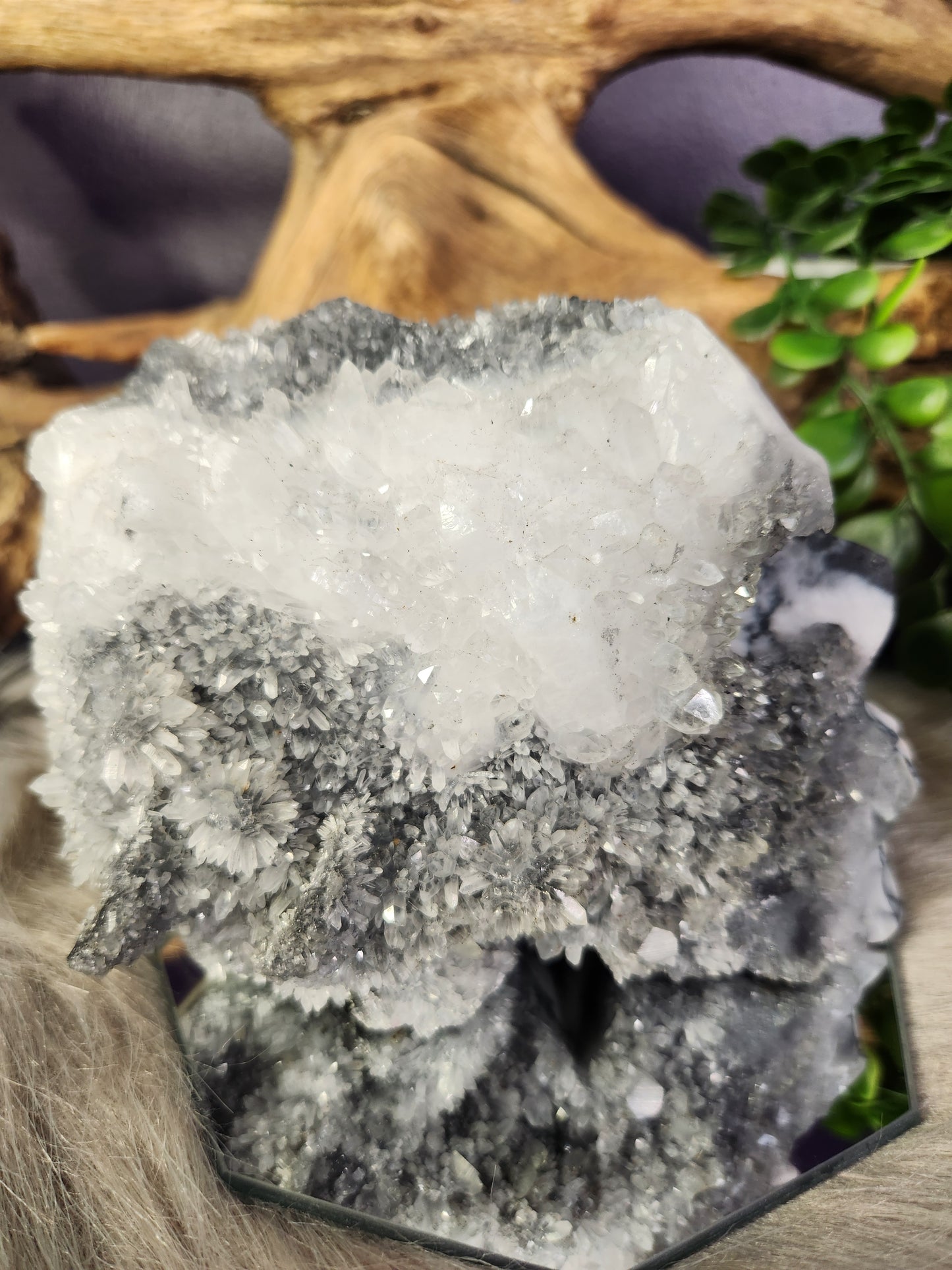 *Unique* Black & White Quartz Calcite Specimen Skull