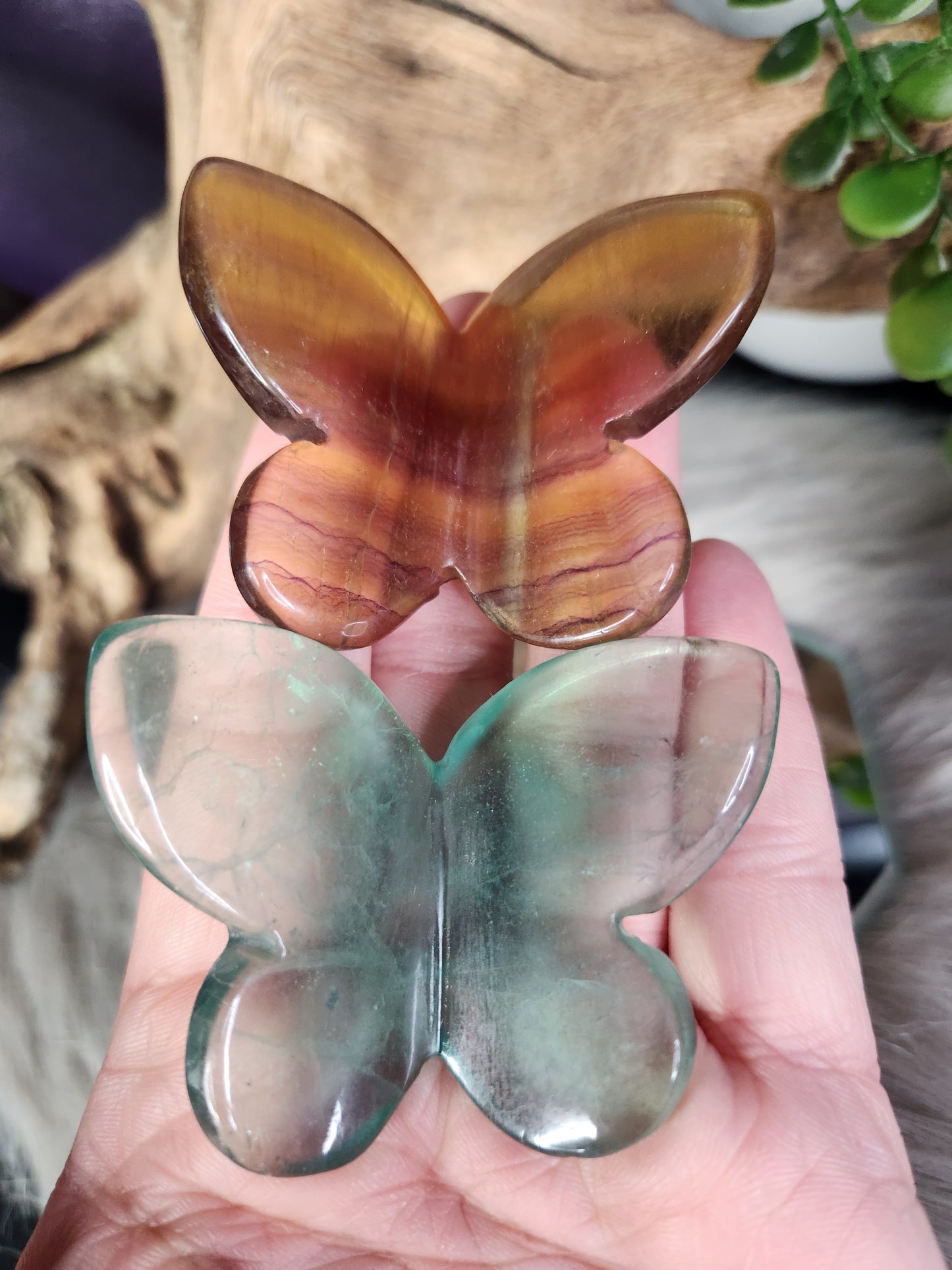 Fluorite | 3D Butterflies