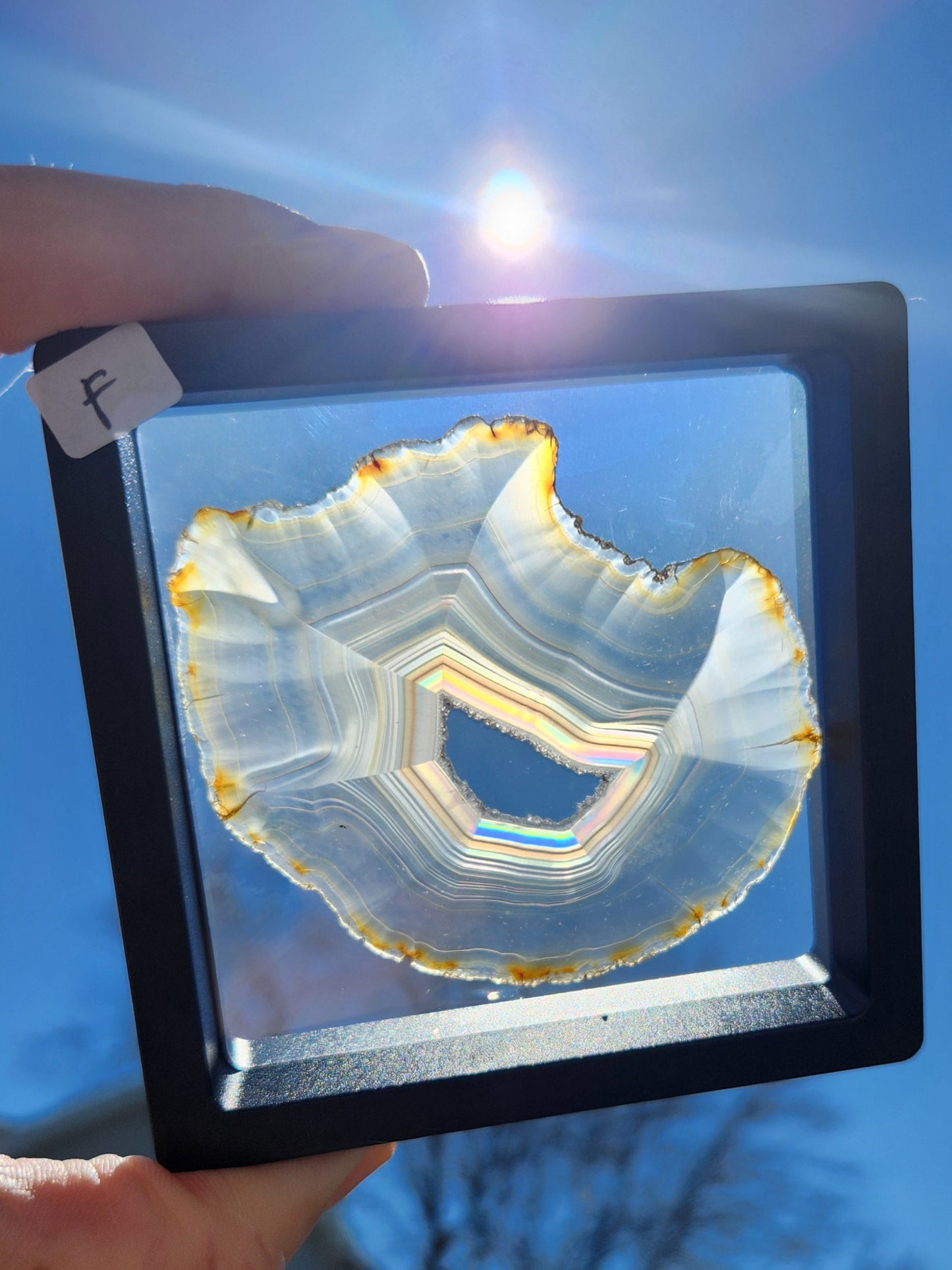 Iris Agate Slices | Indonesia
