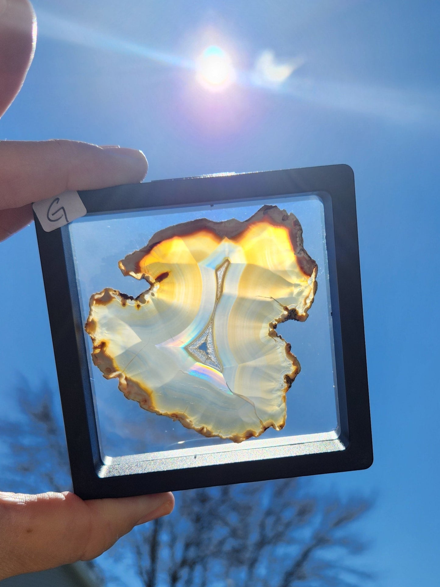 Iris Agate Slices | Indonesia