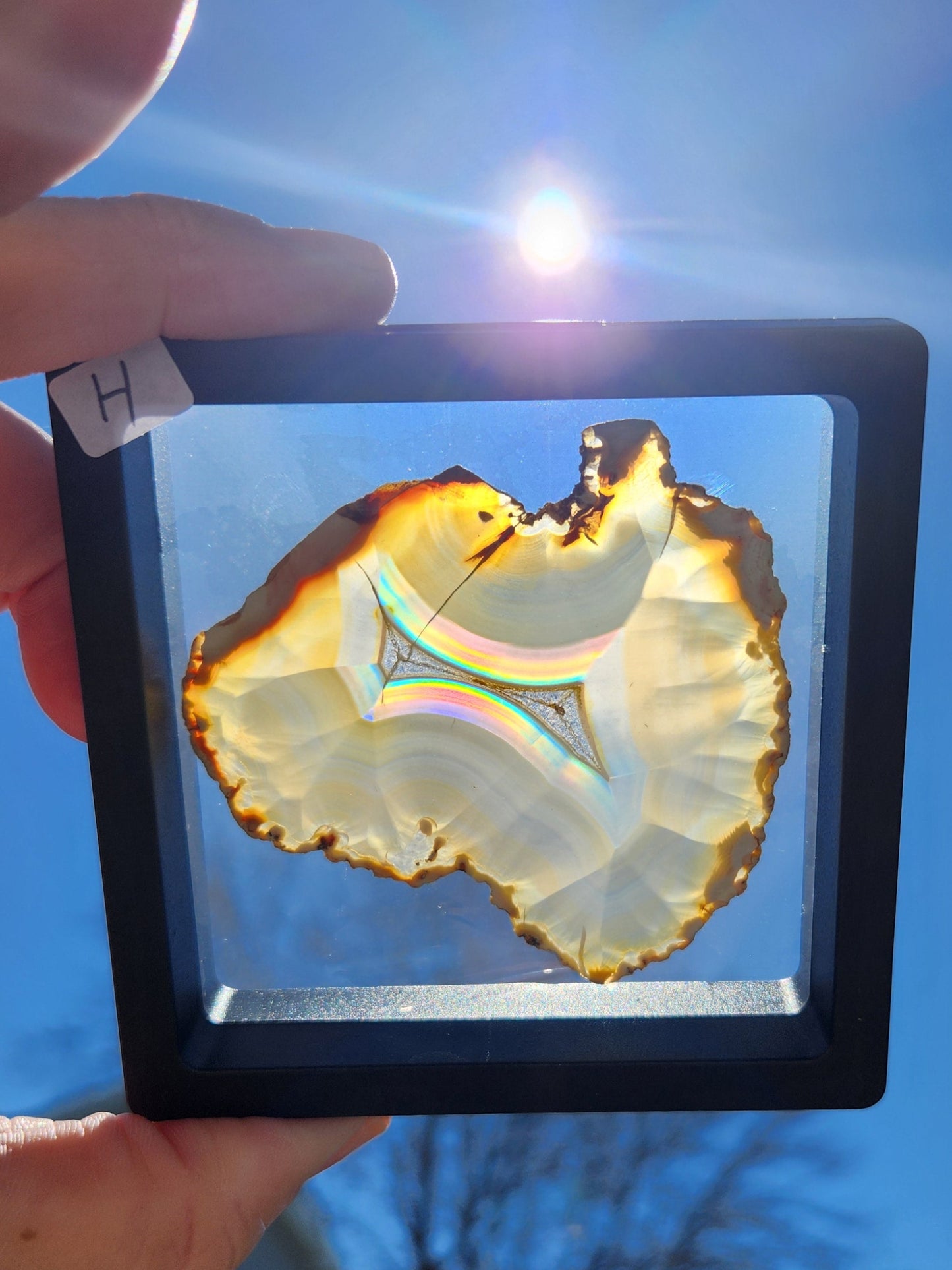 Iris Agate Slices | Indonesia