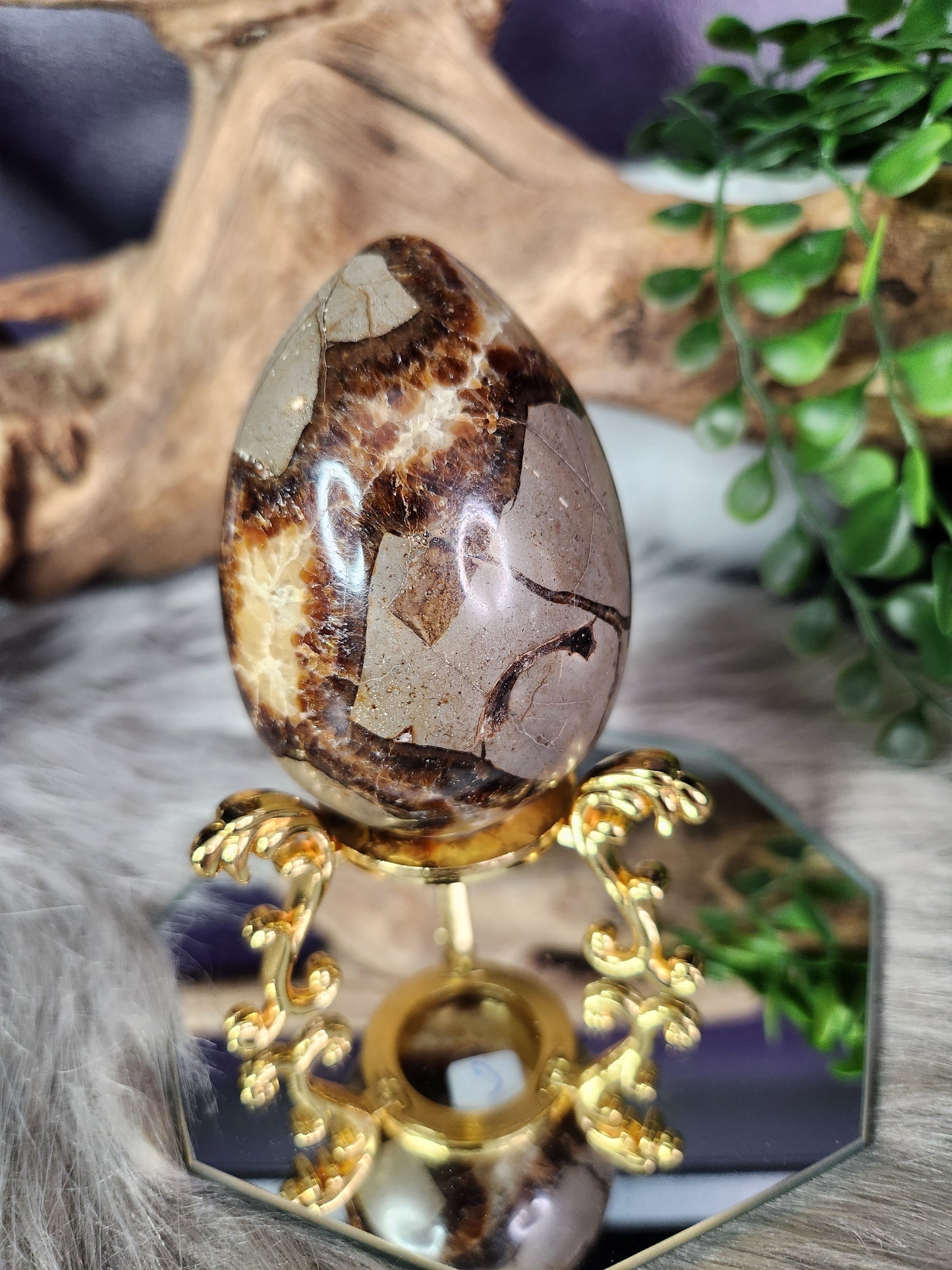 Septarian | Eggs