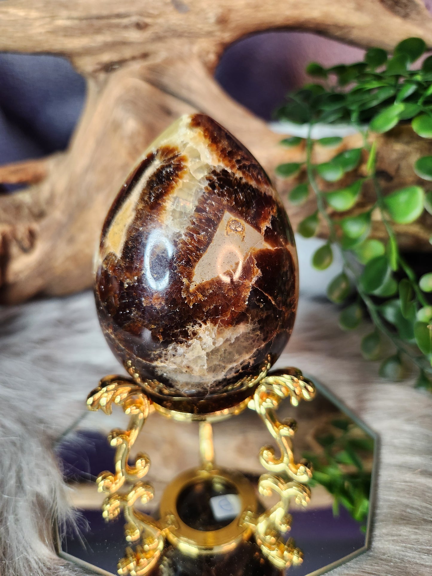 Septarian | Eggs