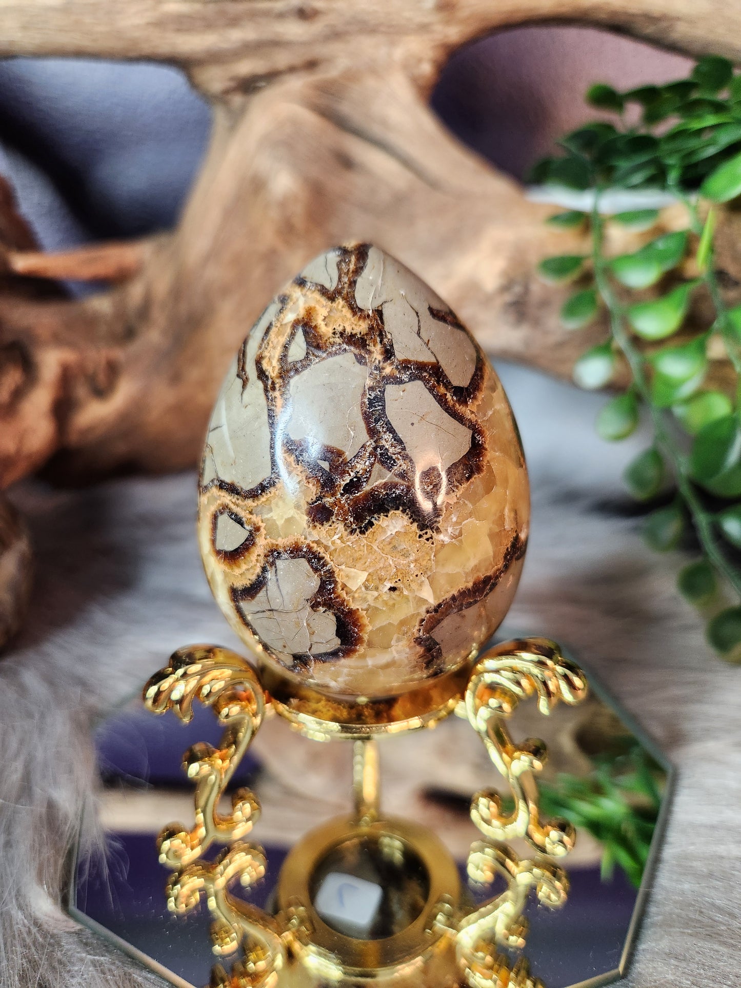 Septarian | Eggs