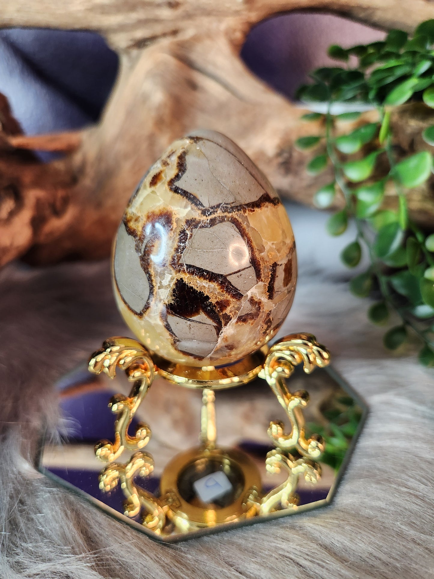 Septarian | Eggs