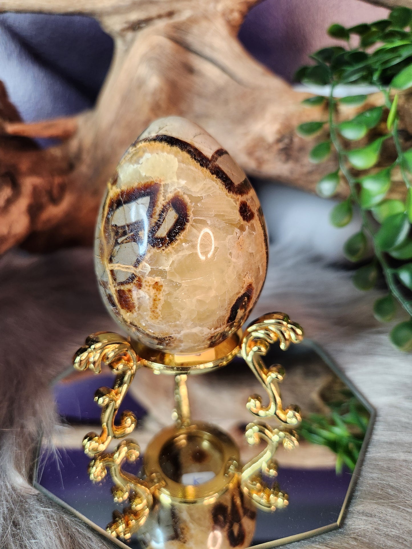 Septarian | Eggs