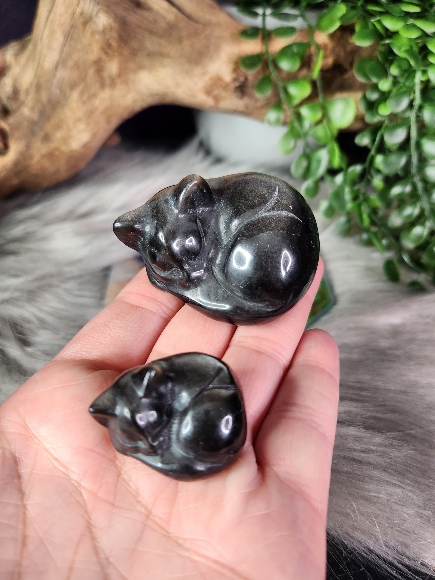 Silver Sheen Obsidian | Sleeping Kitties