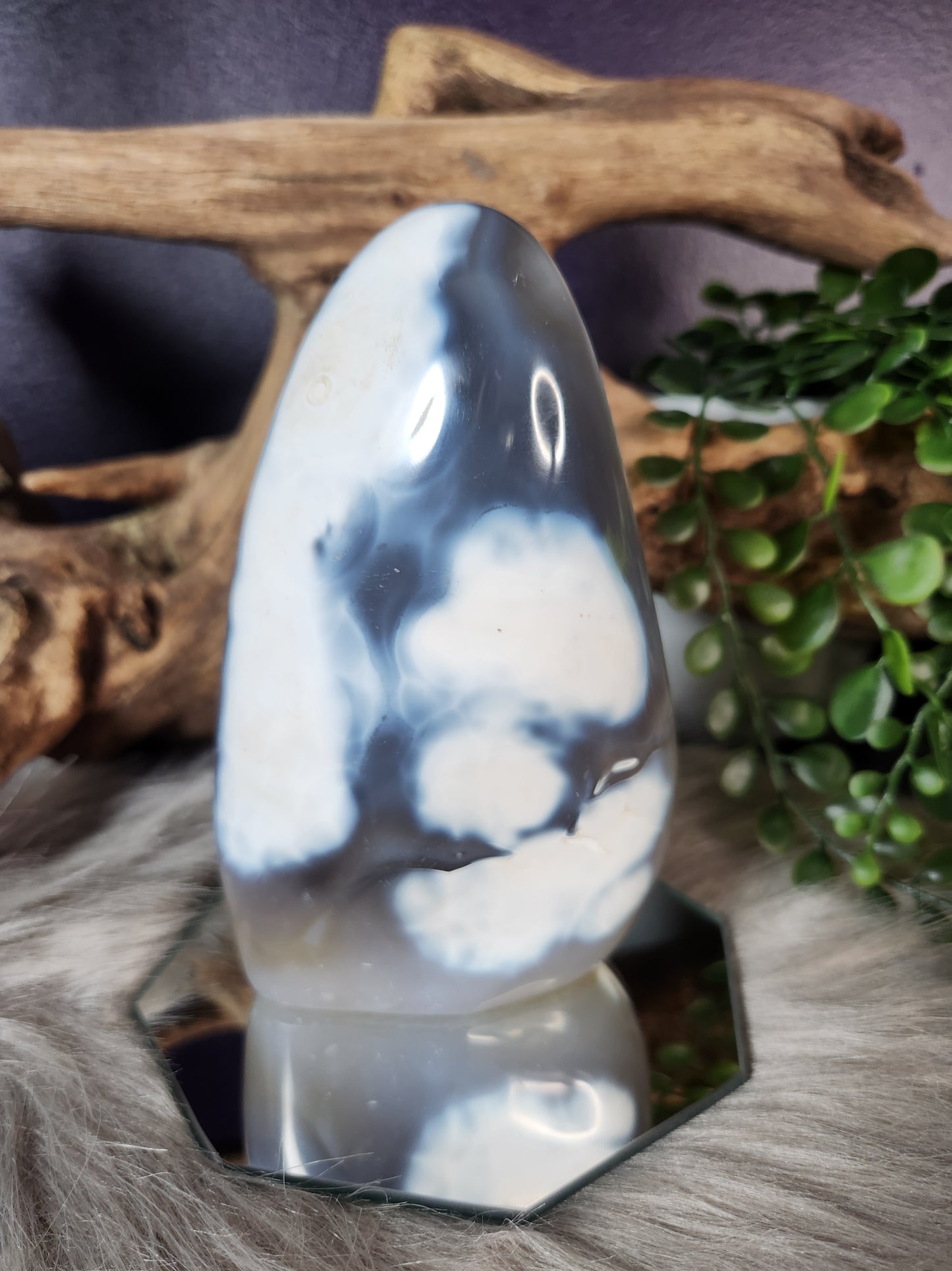 Orca Agate | Free Forms