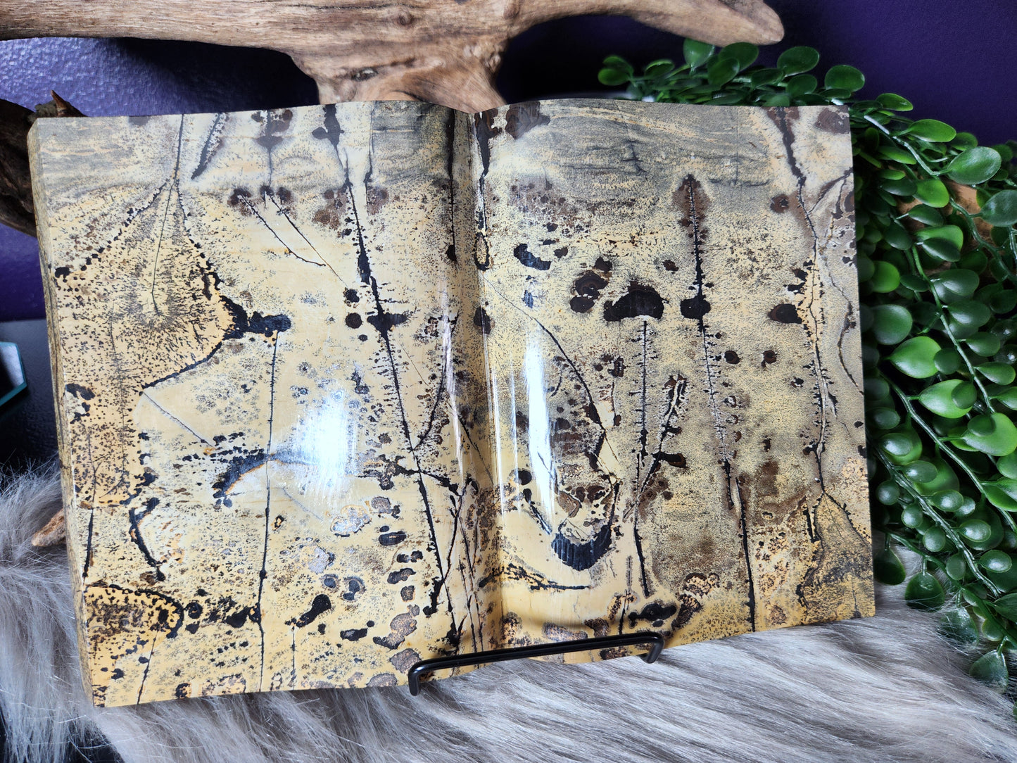 Picture Jasper | XL Books