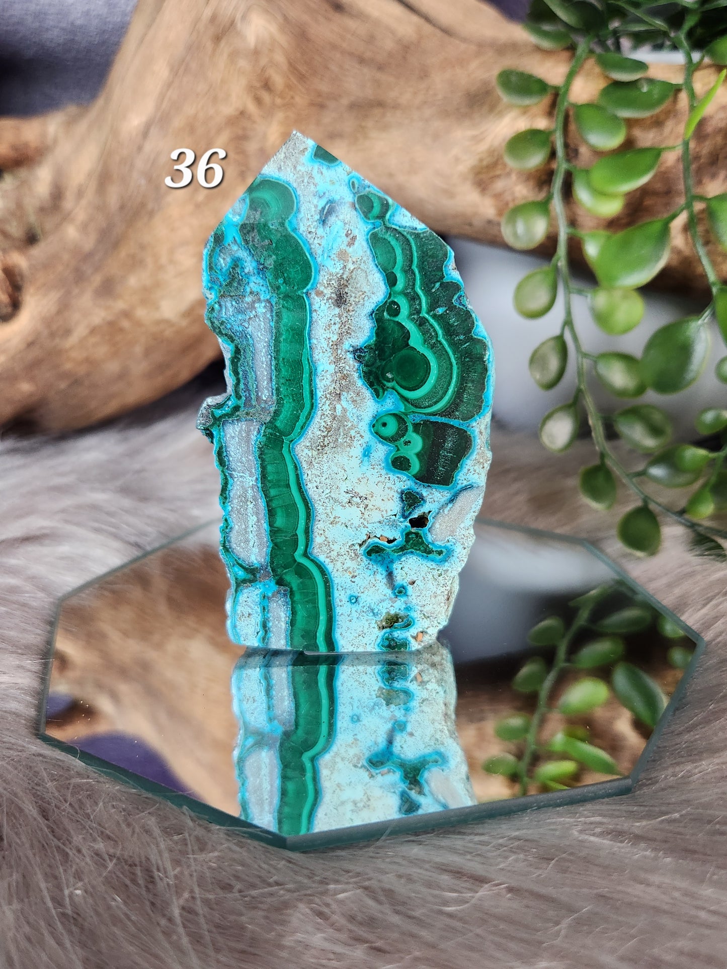 Malacolla | Small Slabs w/Raw Edges