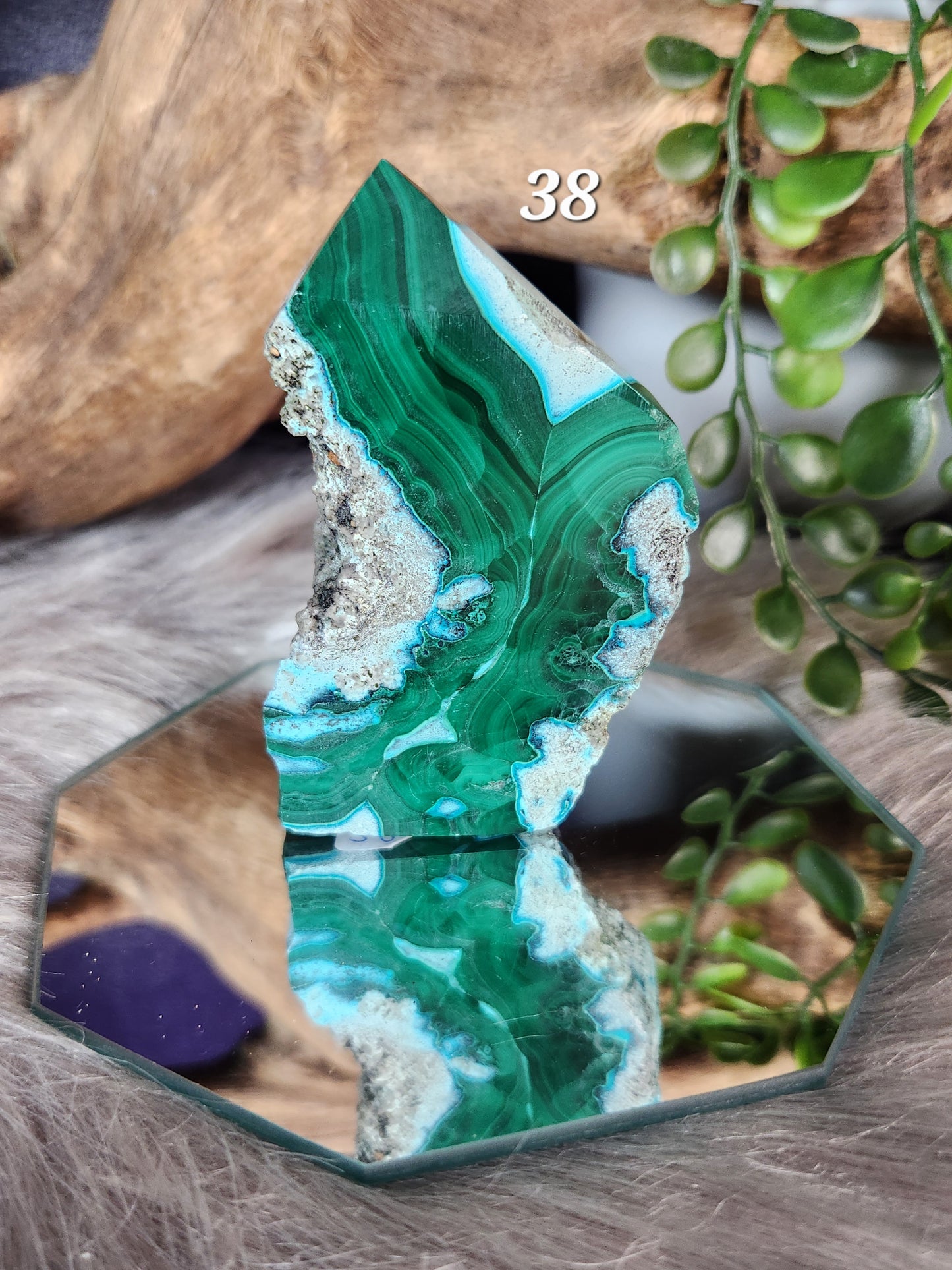 Malacolla | Small Slabs w/Raw Edges
