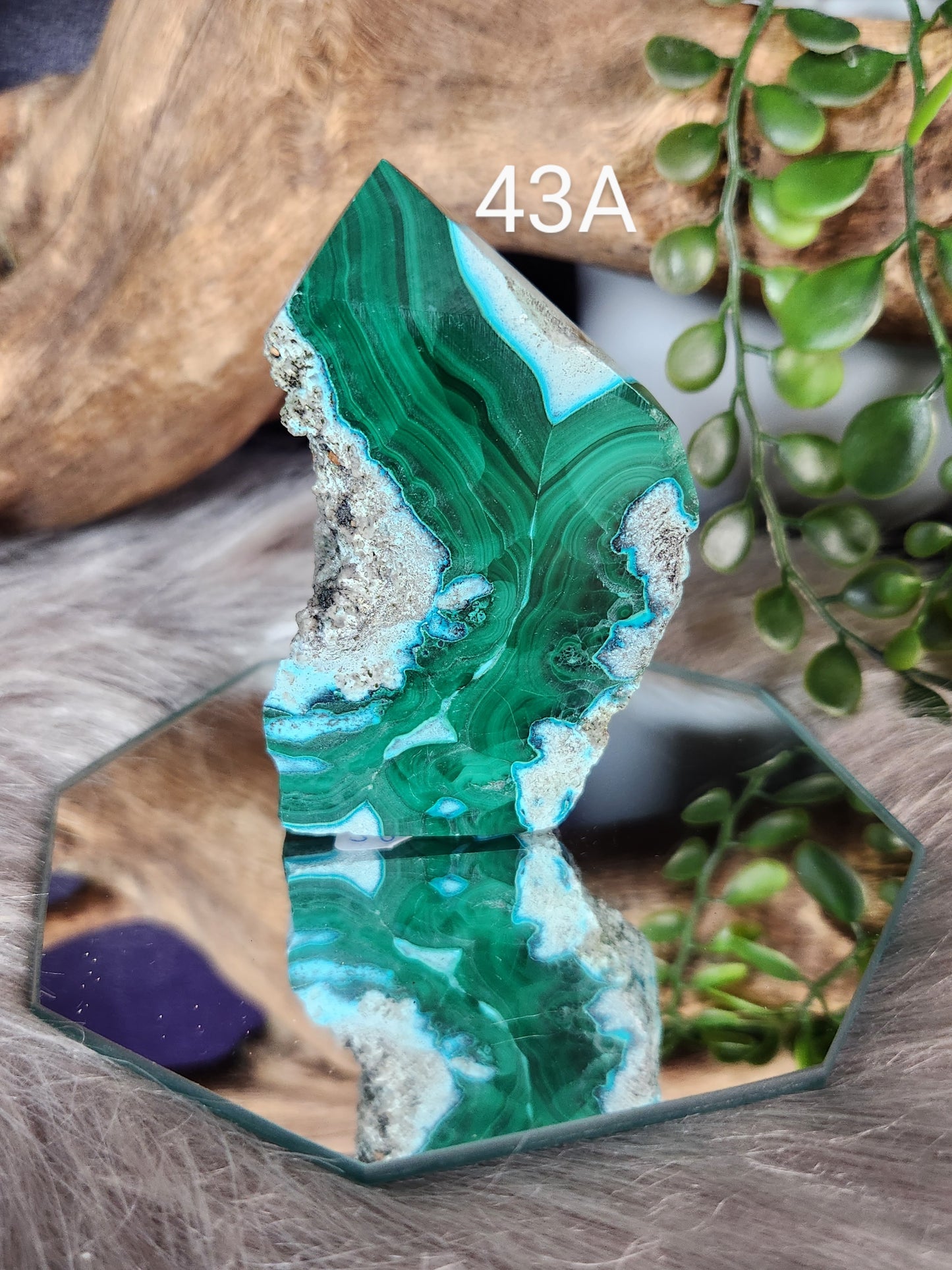 Malacolla | Small Slabs w/Raw Edges