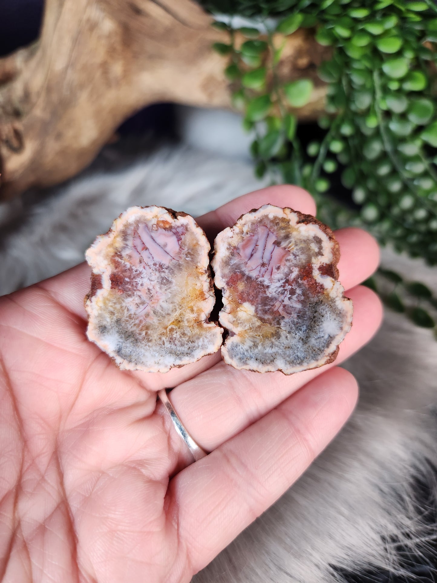 Agate Geode Pairs