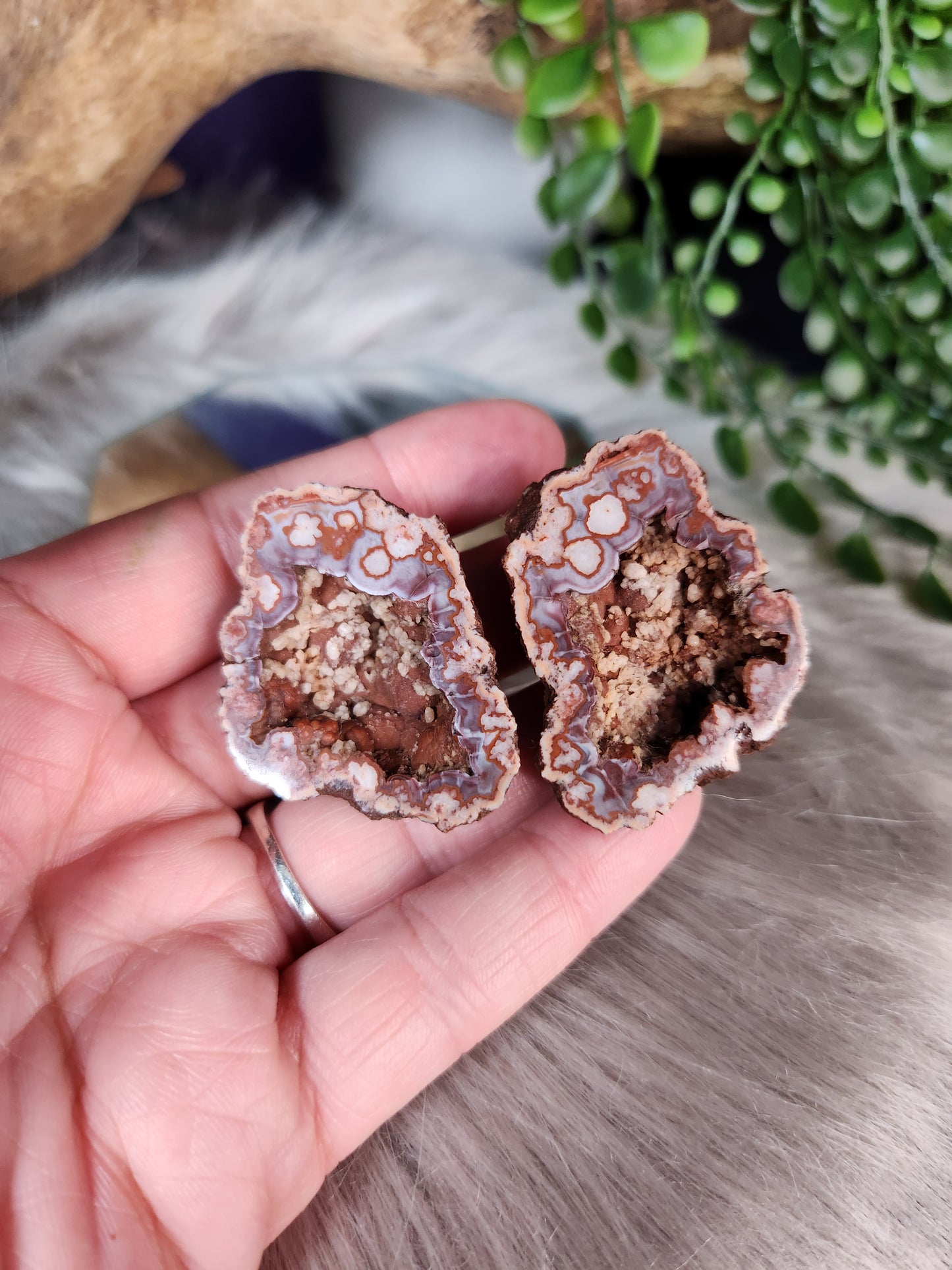 Agate Geode Pairs