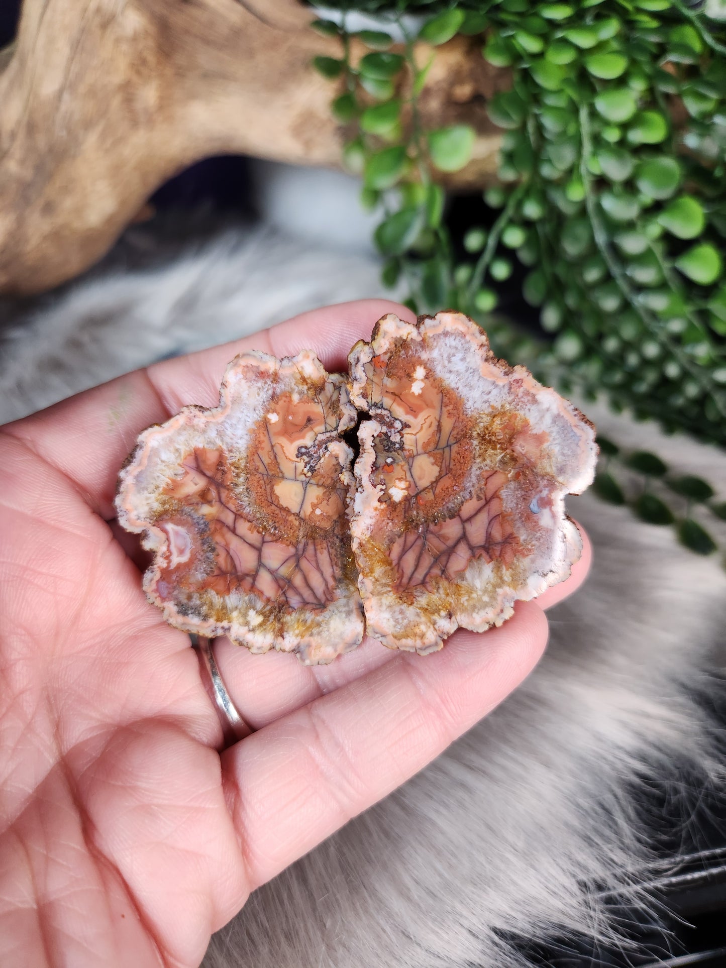 Agate Geode Pairs
