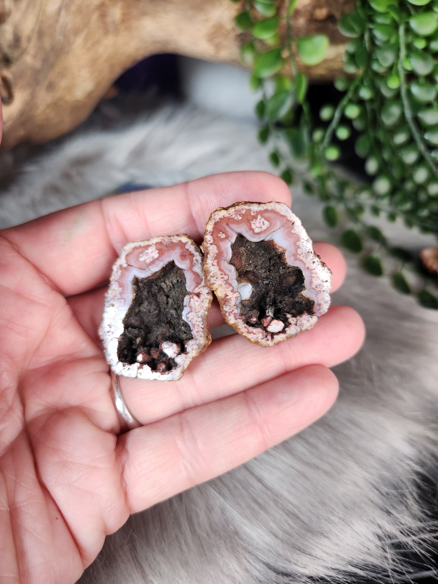 Agate Geode Pairs