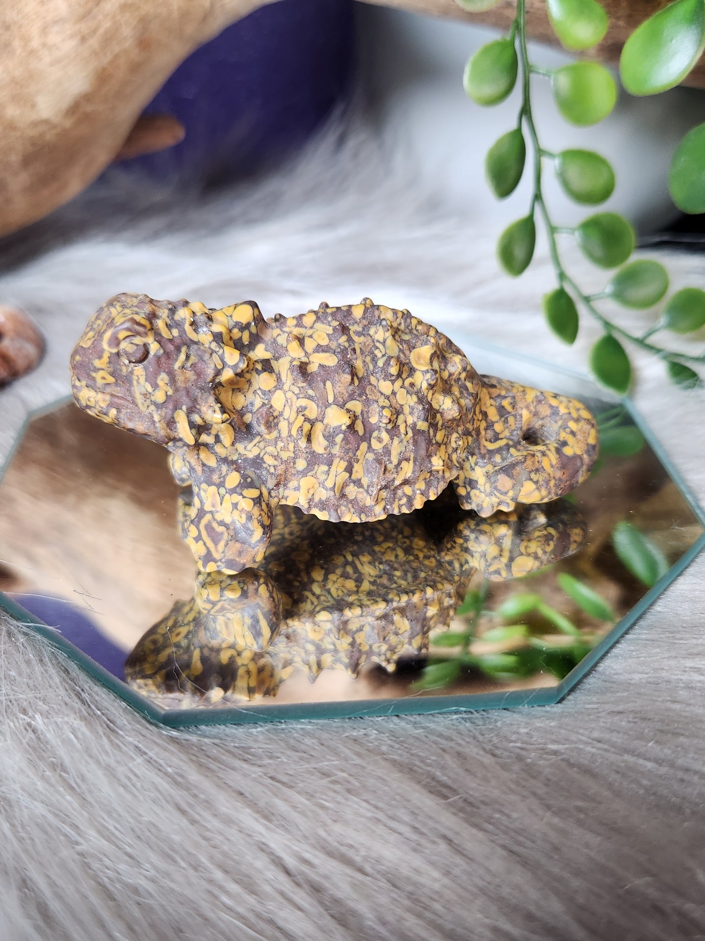 Desert Horned Lizards
