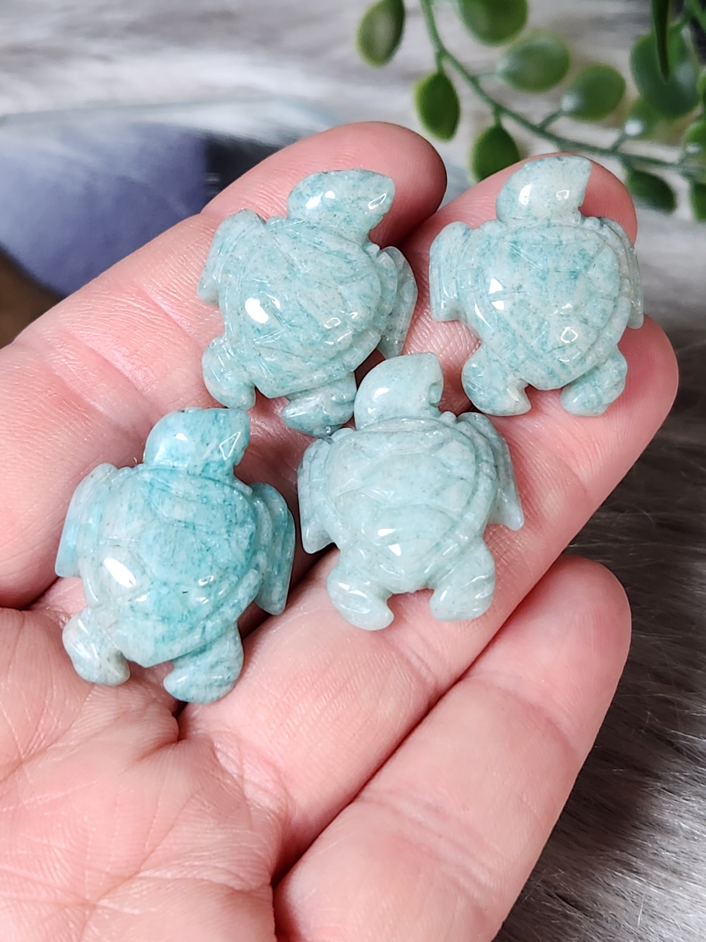 Amazonite | Mini Sea Turtles