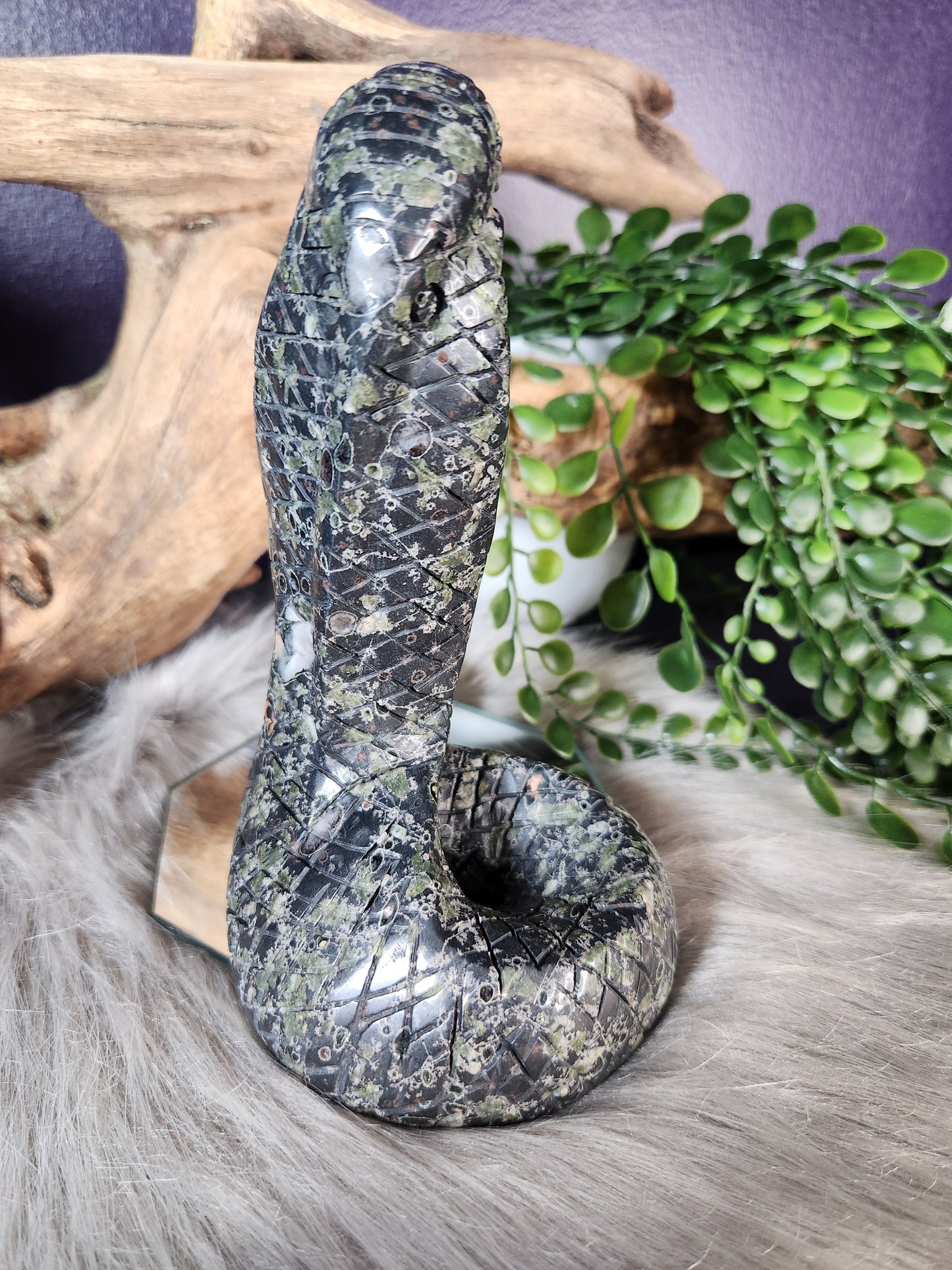 Kambaba Jasper | Large Cobra Carving