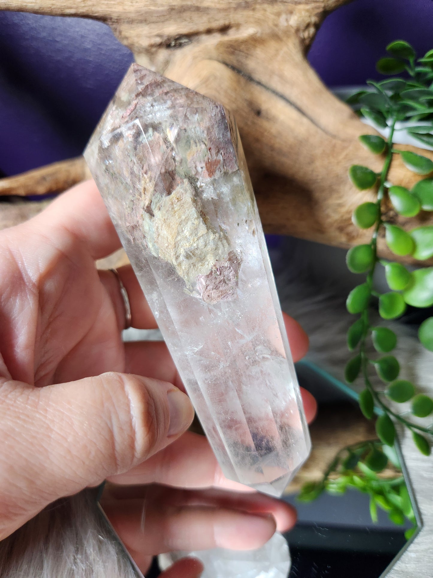 Garden Quartz | Vogels
